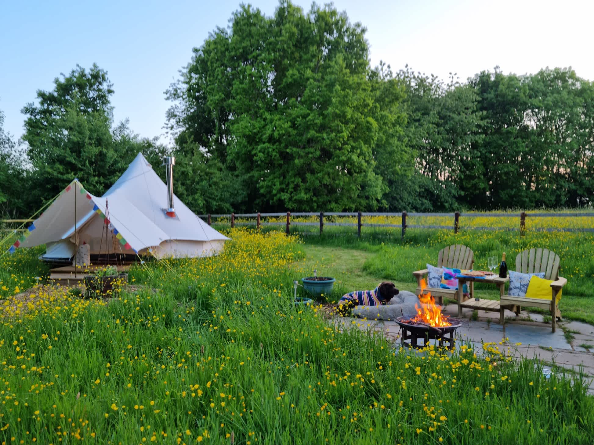Dog Friendly Glamping in Rural Worcestershire