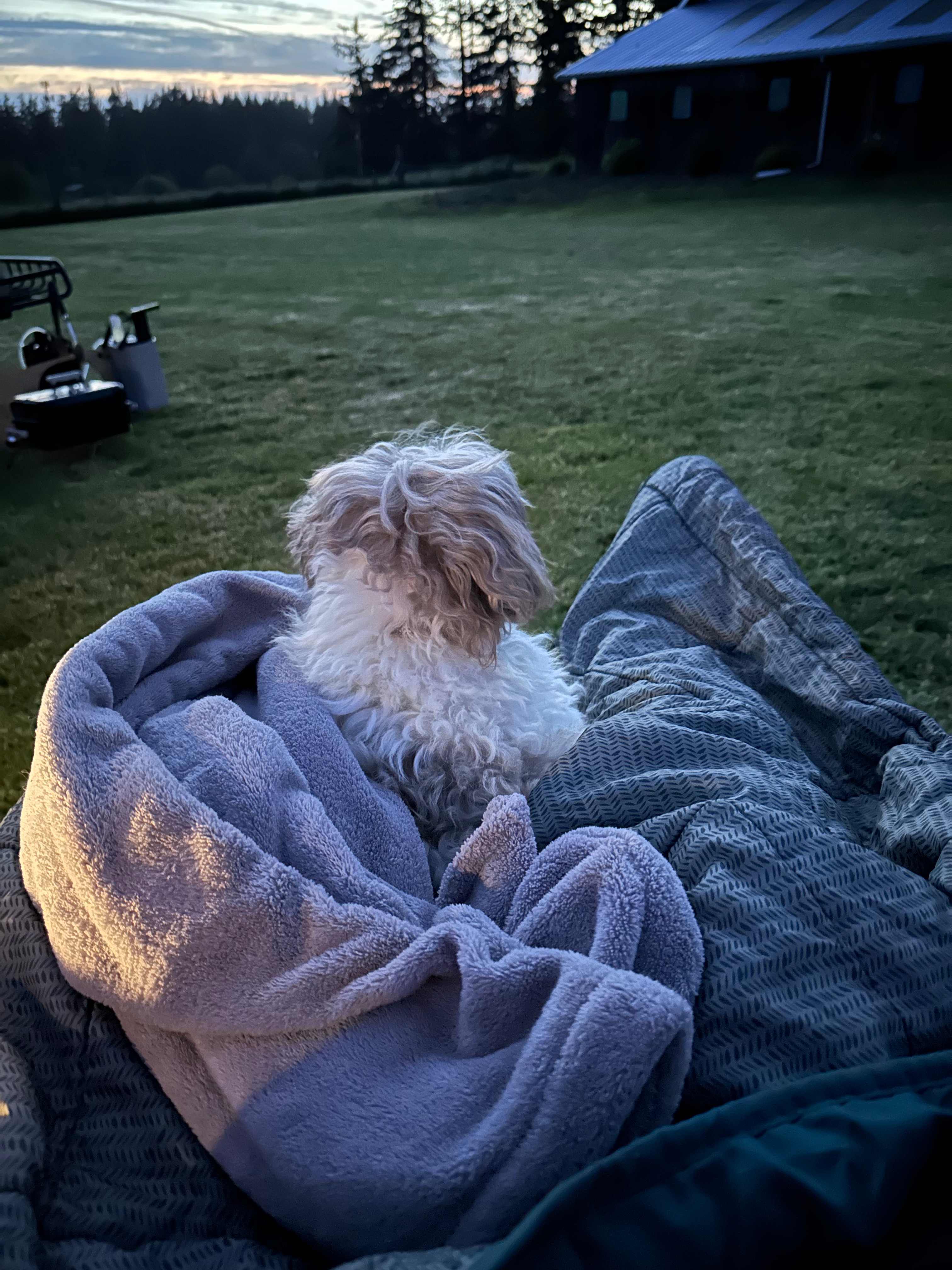 Dog friendly site with some very well behaved neighbor dog campers.