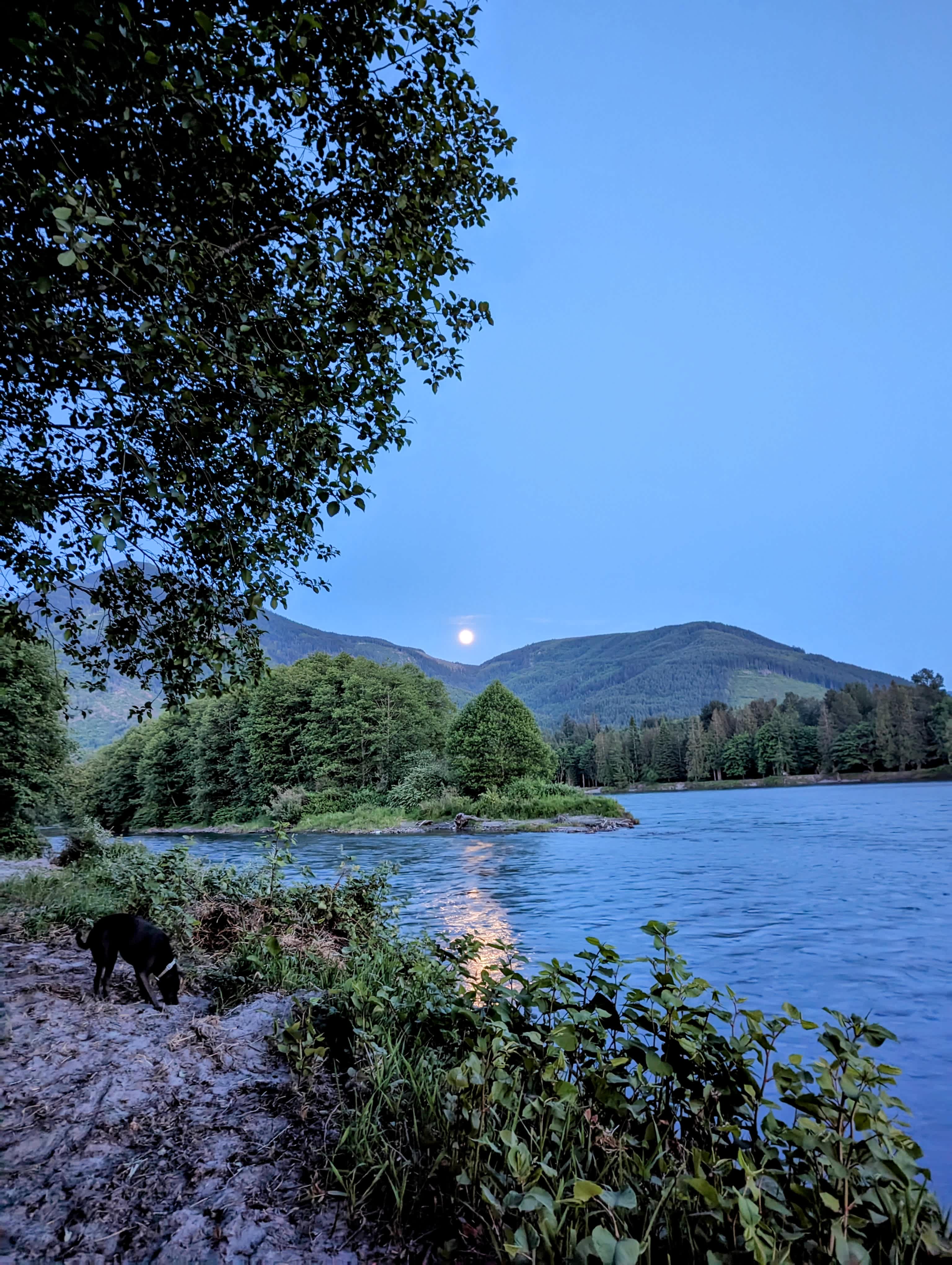 Skagit river camping and sauna