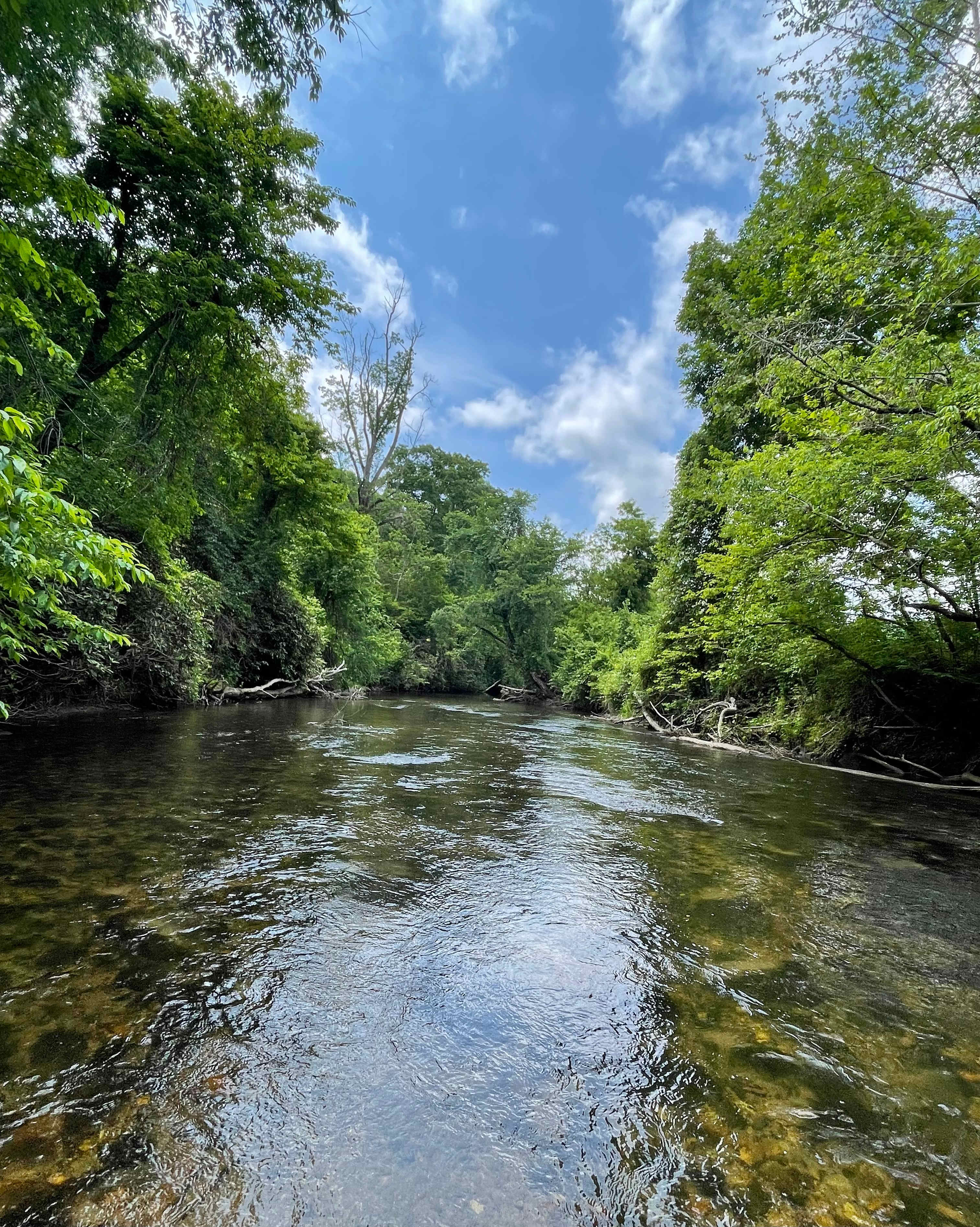 The Confluence