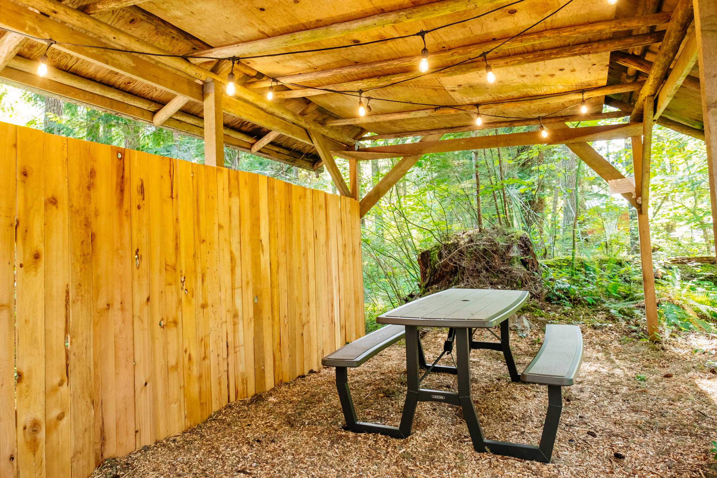 Lighted pavillion with picnic table