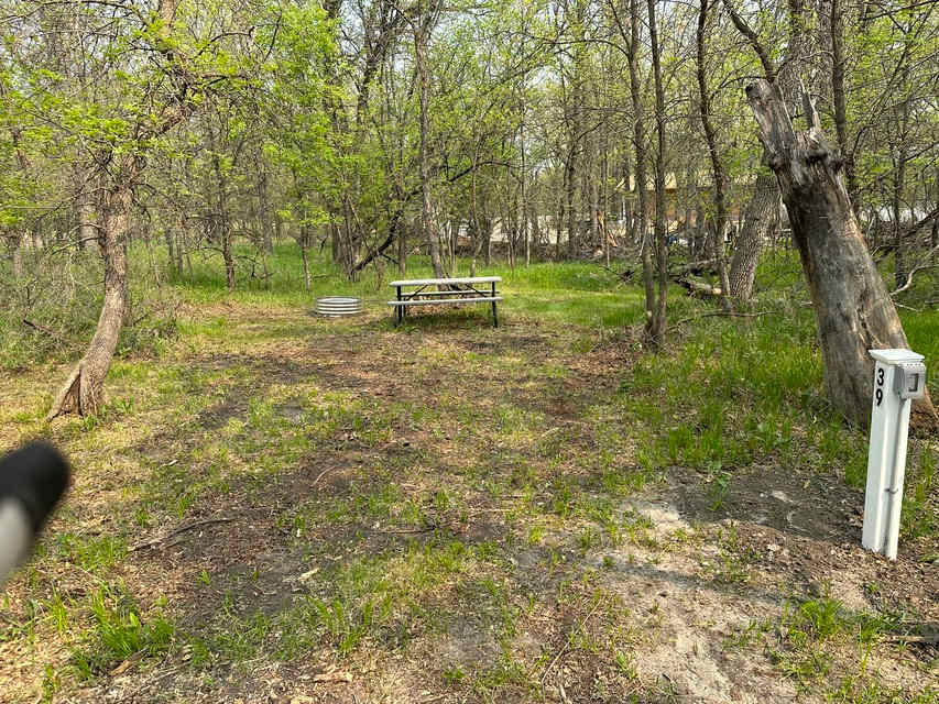 Picture of the site