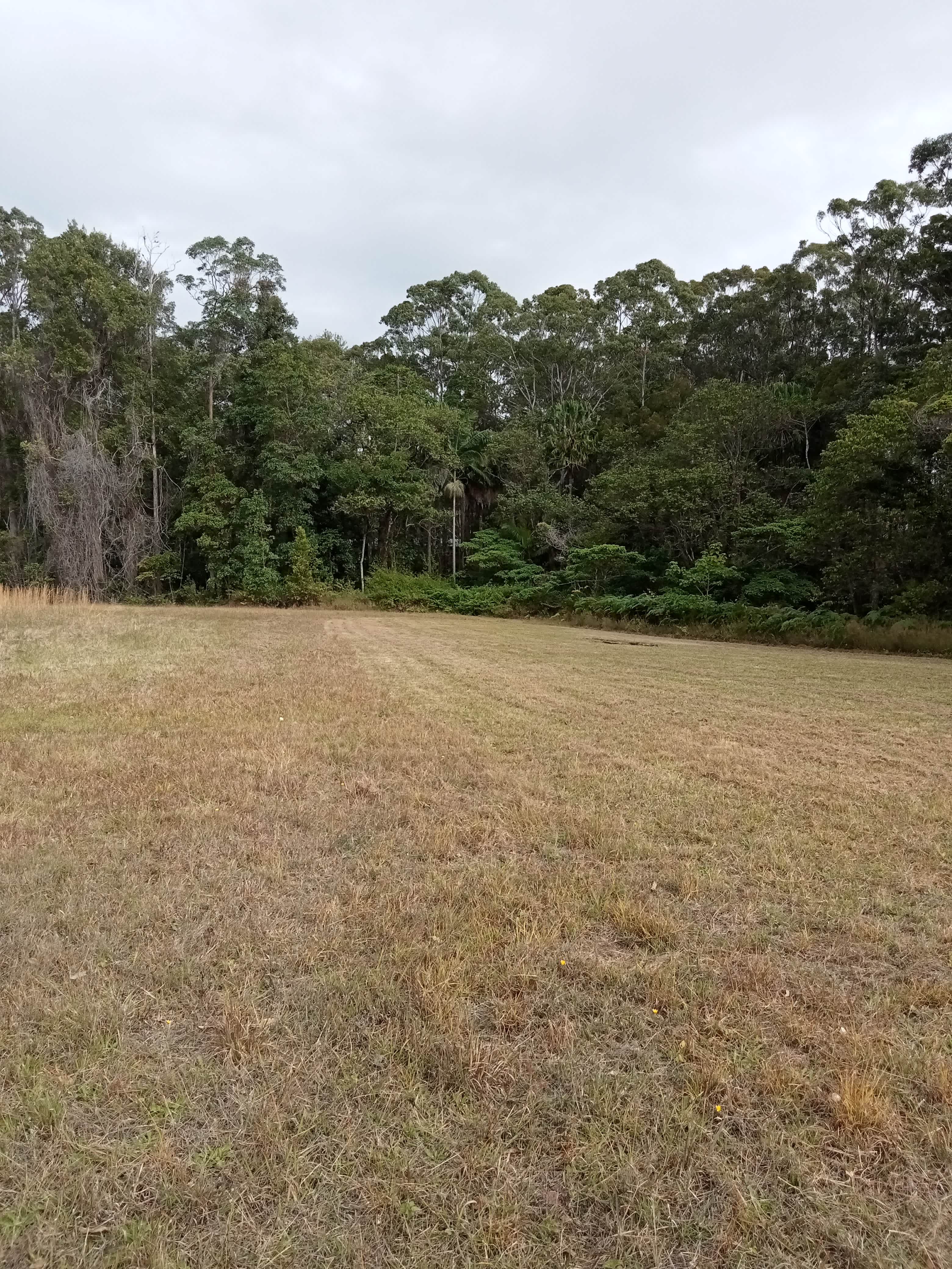 Beautiful level lawned campsite complete with kangaroos and abundant birdlife!
