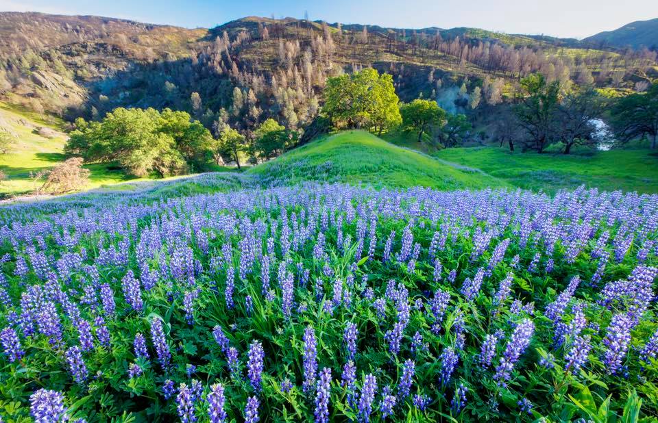 Berryessa Snow Mountain National Monument