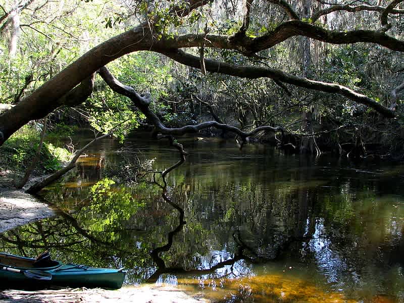 Lithia Springs Conservation Park