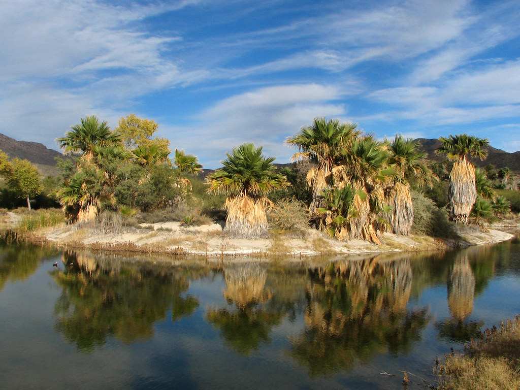 Agua Caliente County Park