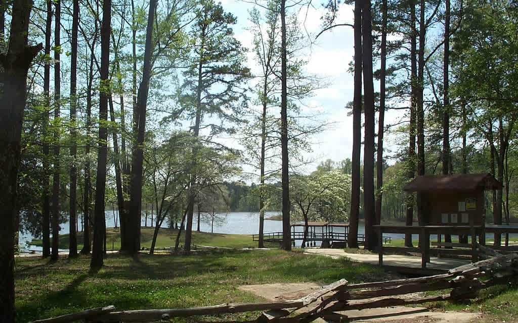 Holly Springs National Forest