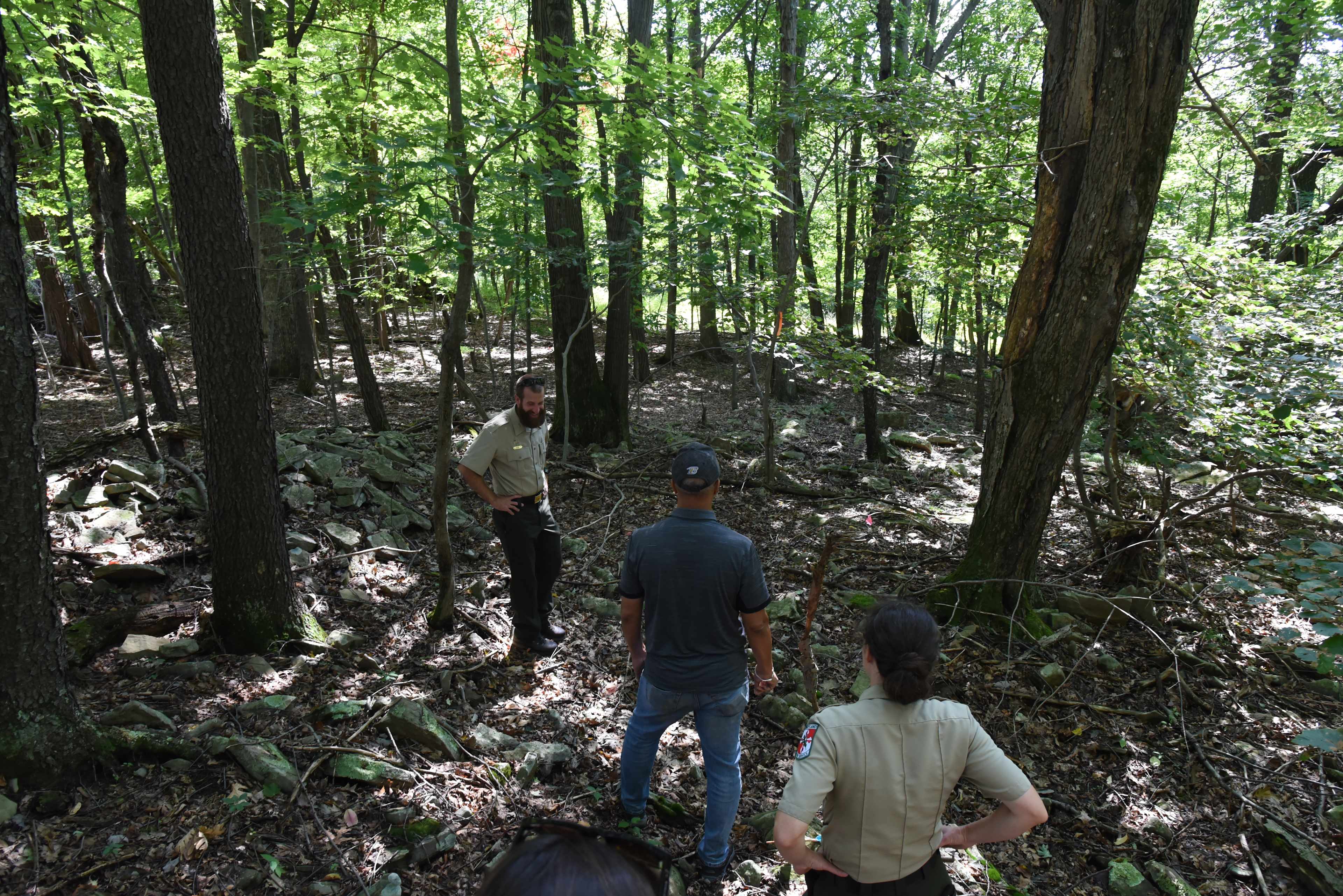 Dans Mountain State Park
