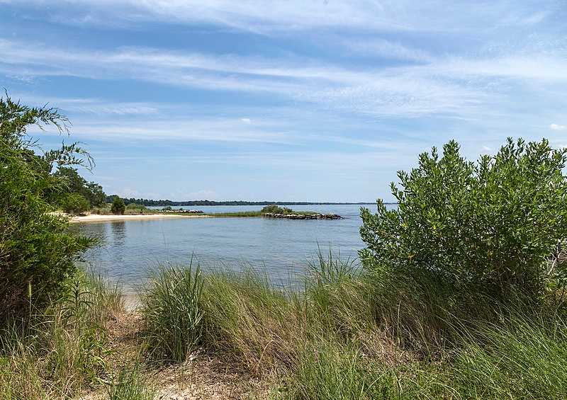 Hallowing Point Waterfront Park​