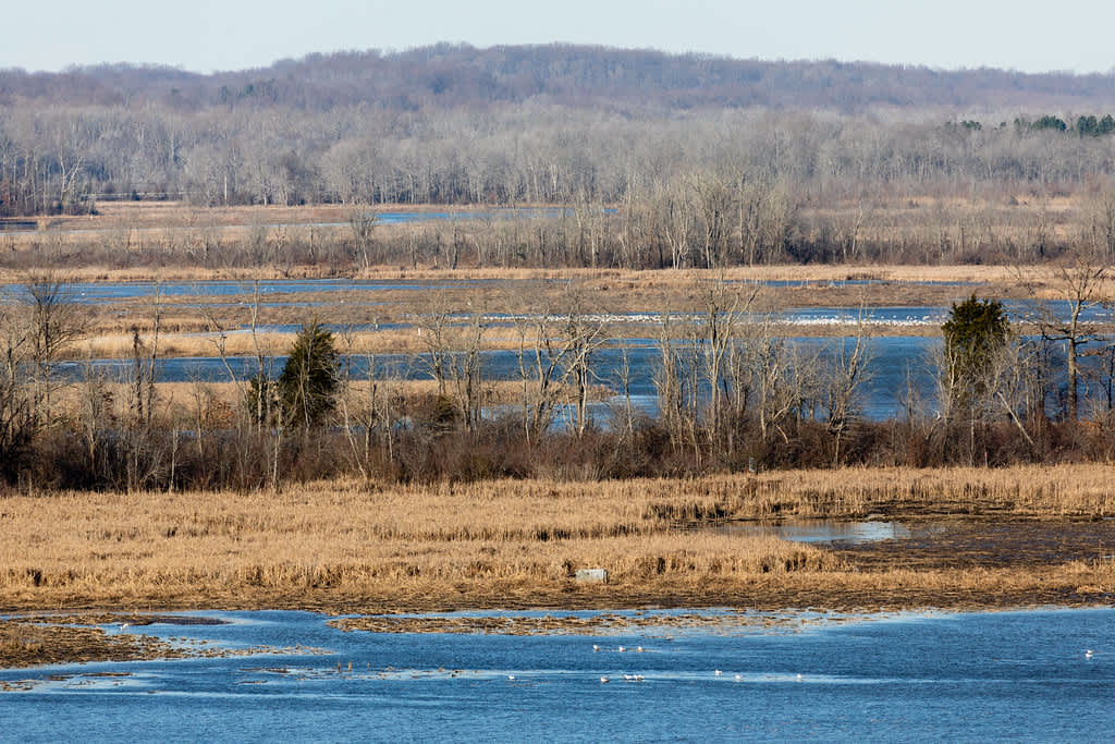 Patuxent River State Park