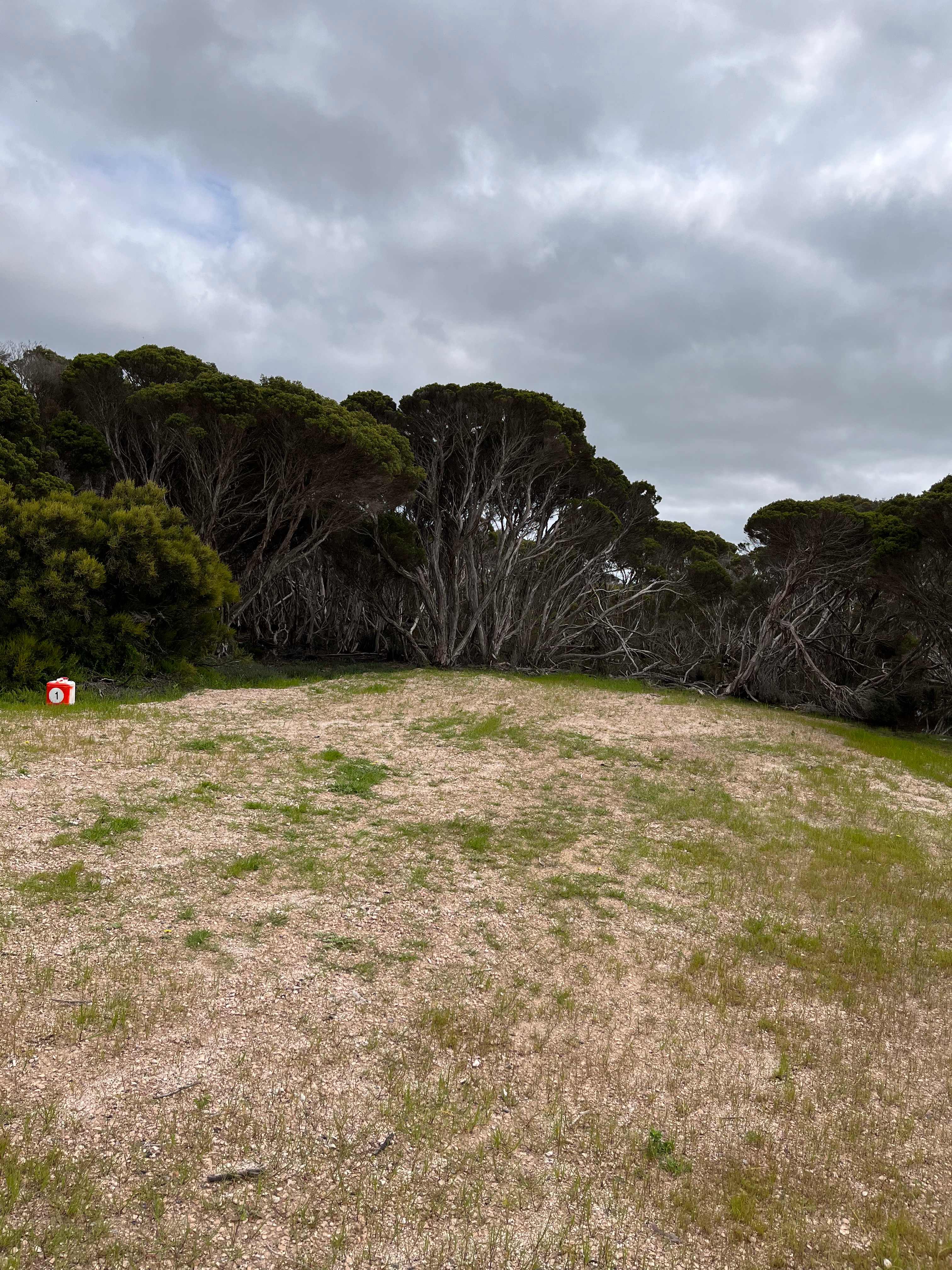 Marion Bay Bush Camping