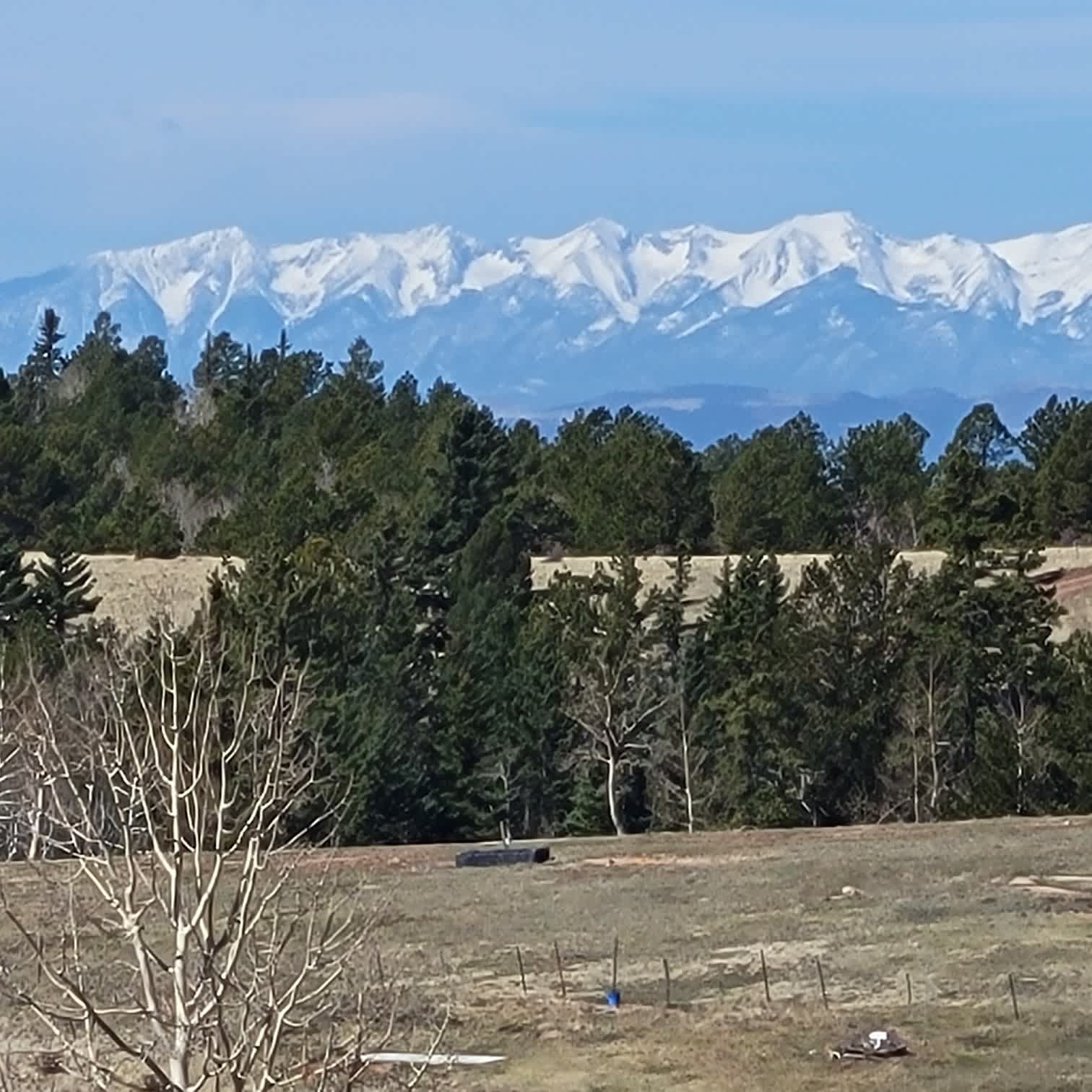 Alta Vista Disc Golf Ranch
