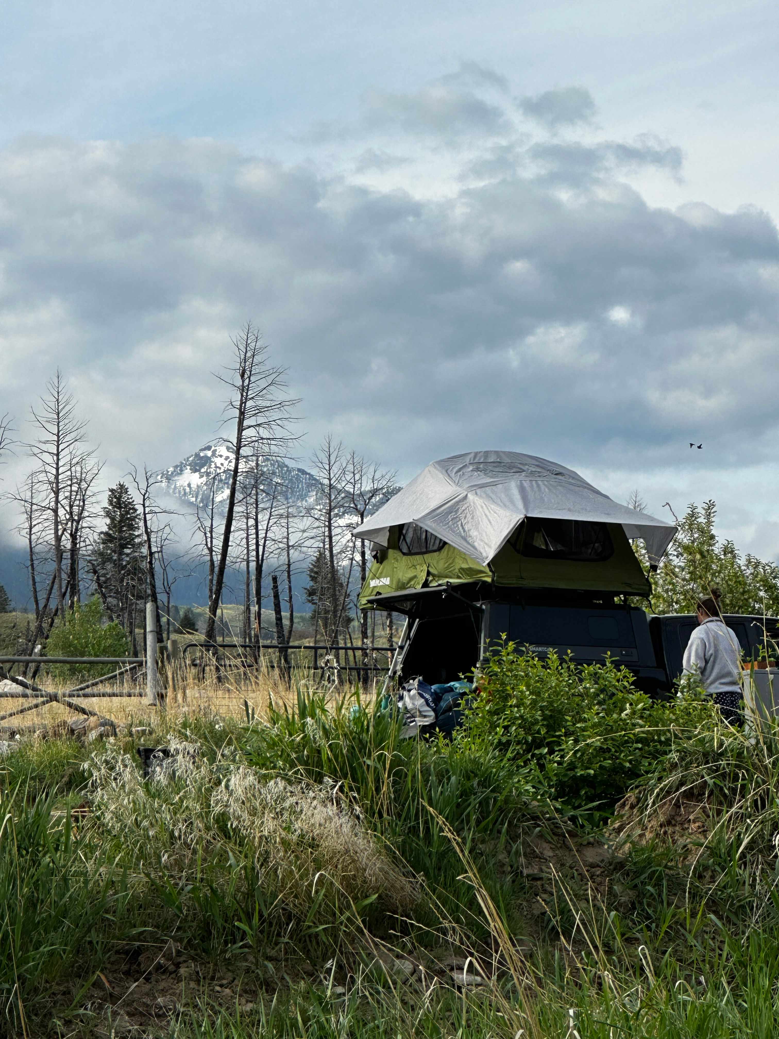 Jammin Jackalope Camping