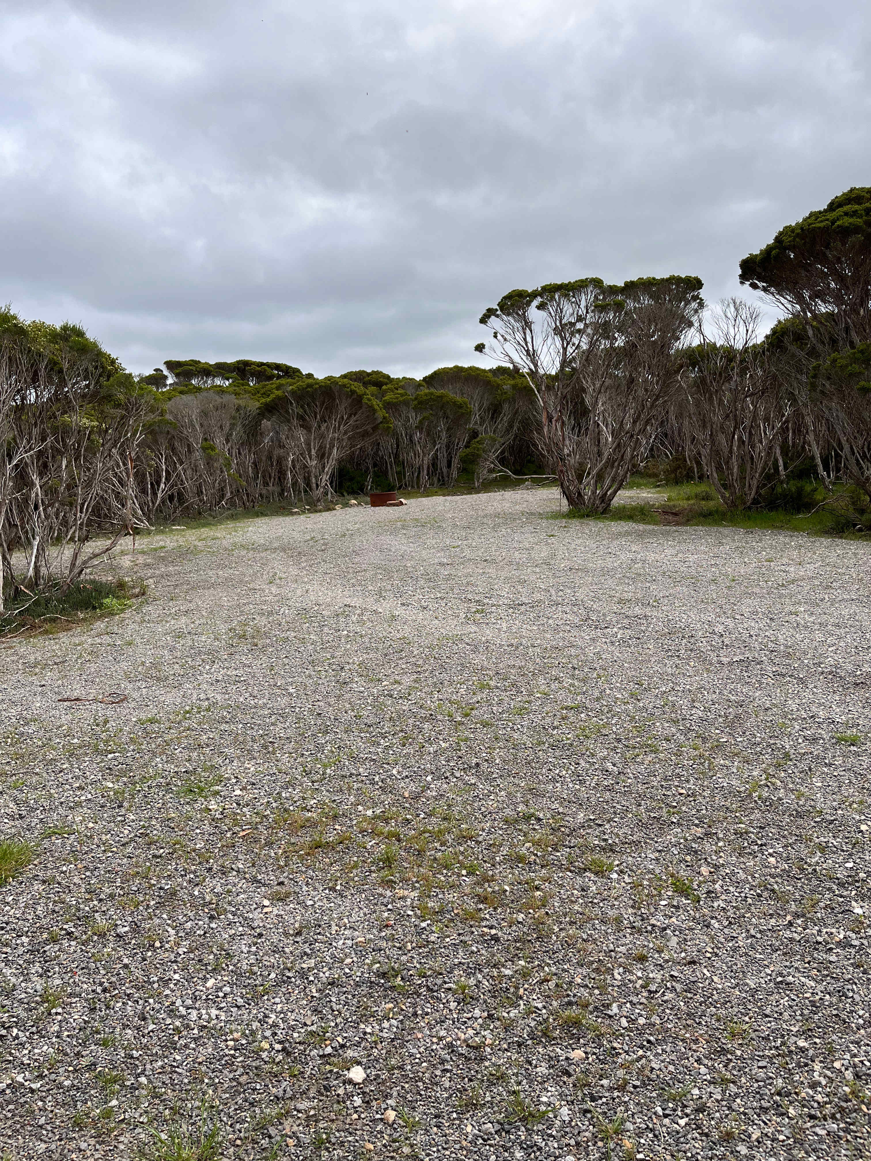 Marion Bay Bush Camping