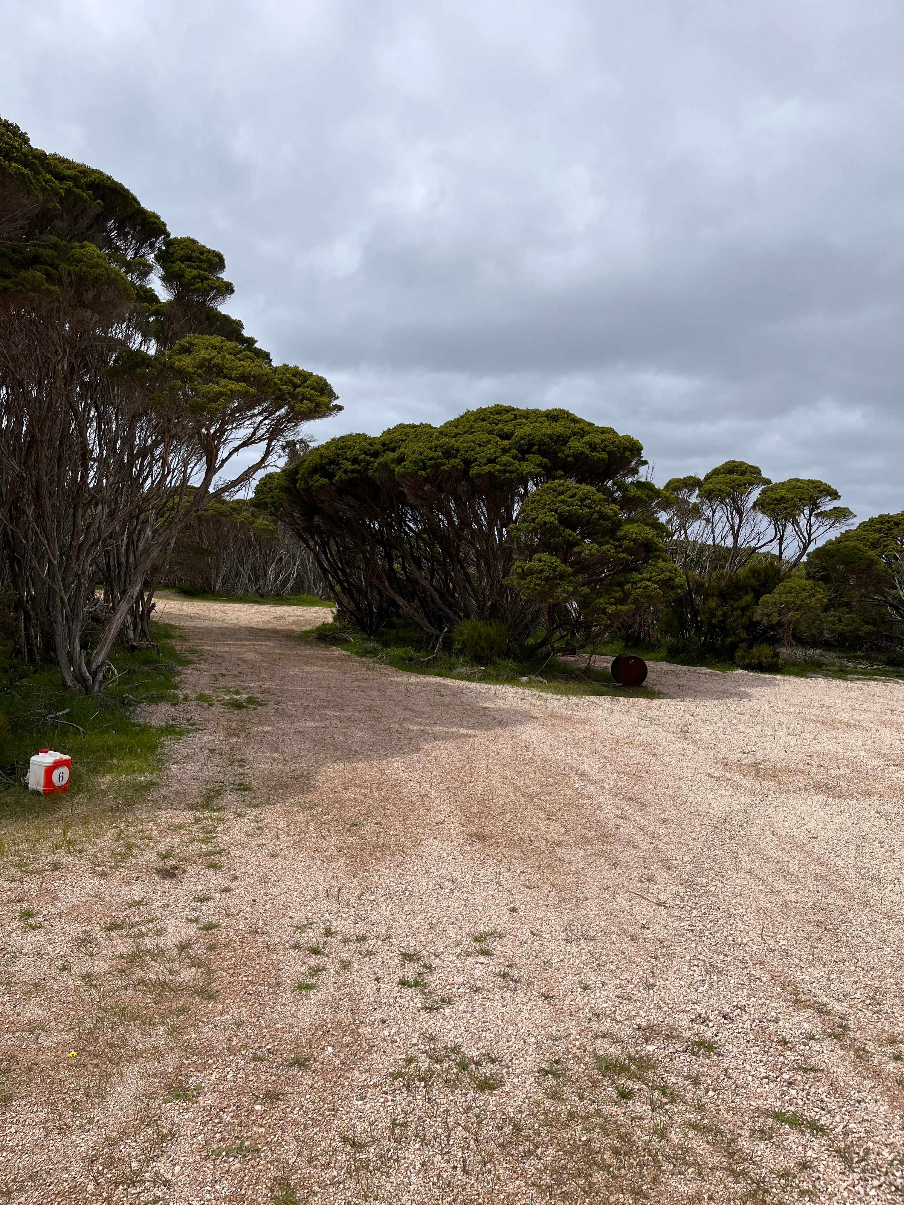 Marion Bay Bush Camping