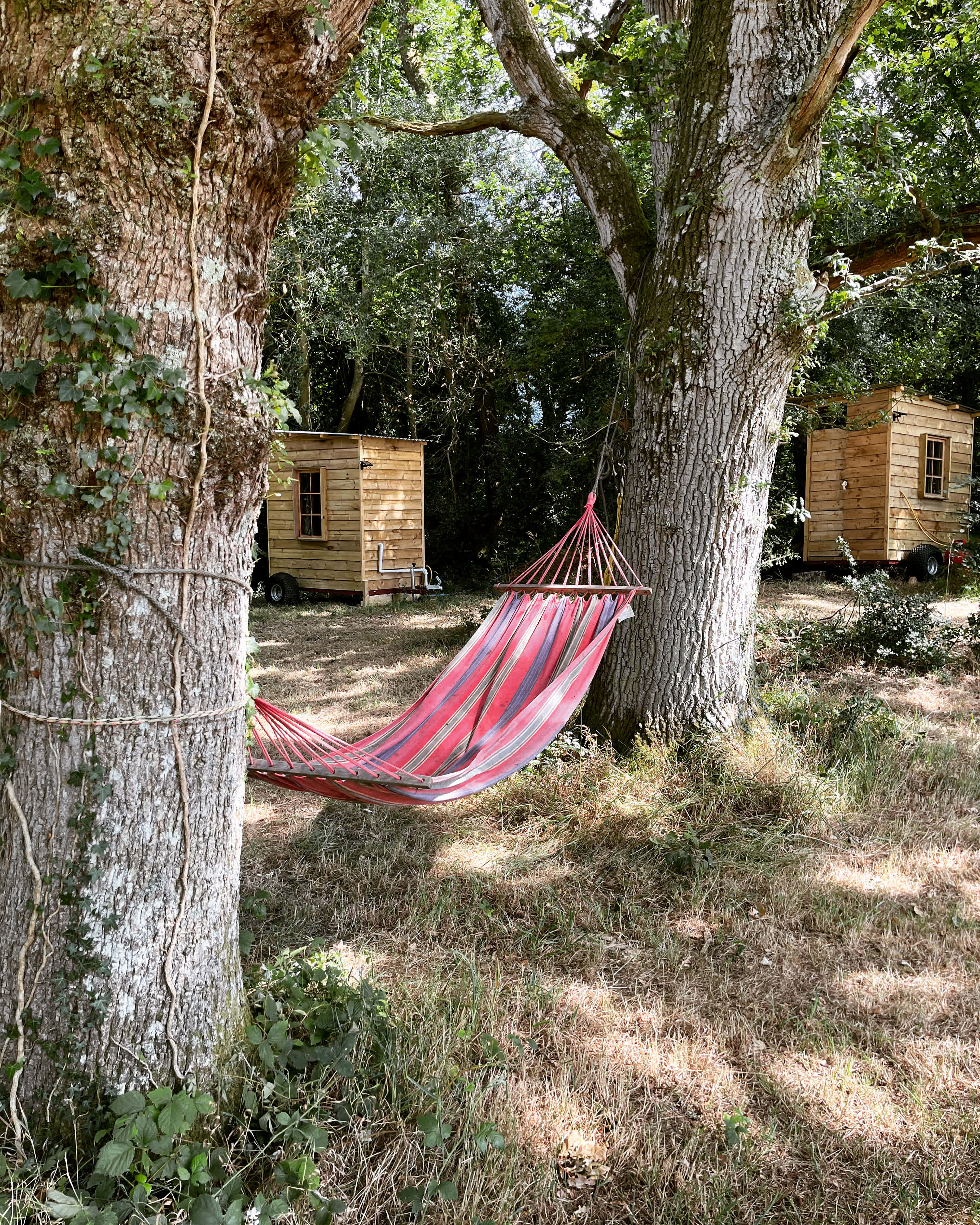 Lickham Bottom Camp