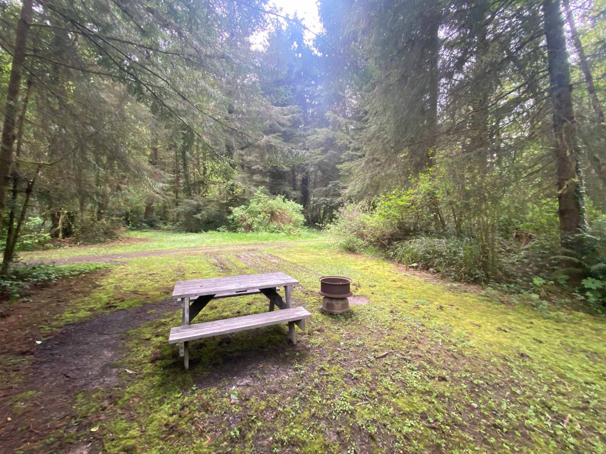 Mystic Forest Campground
