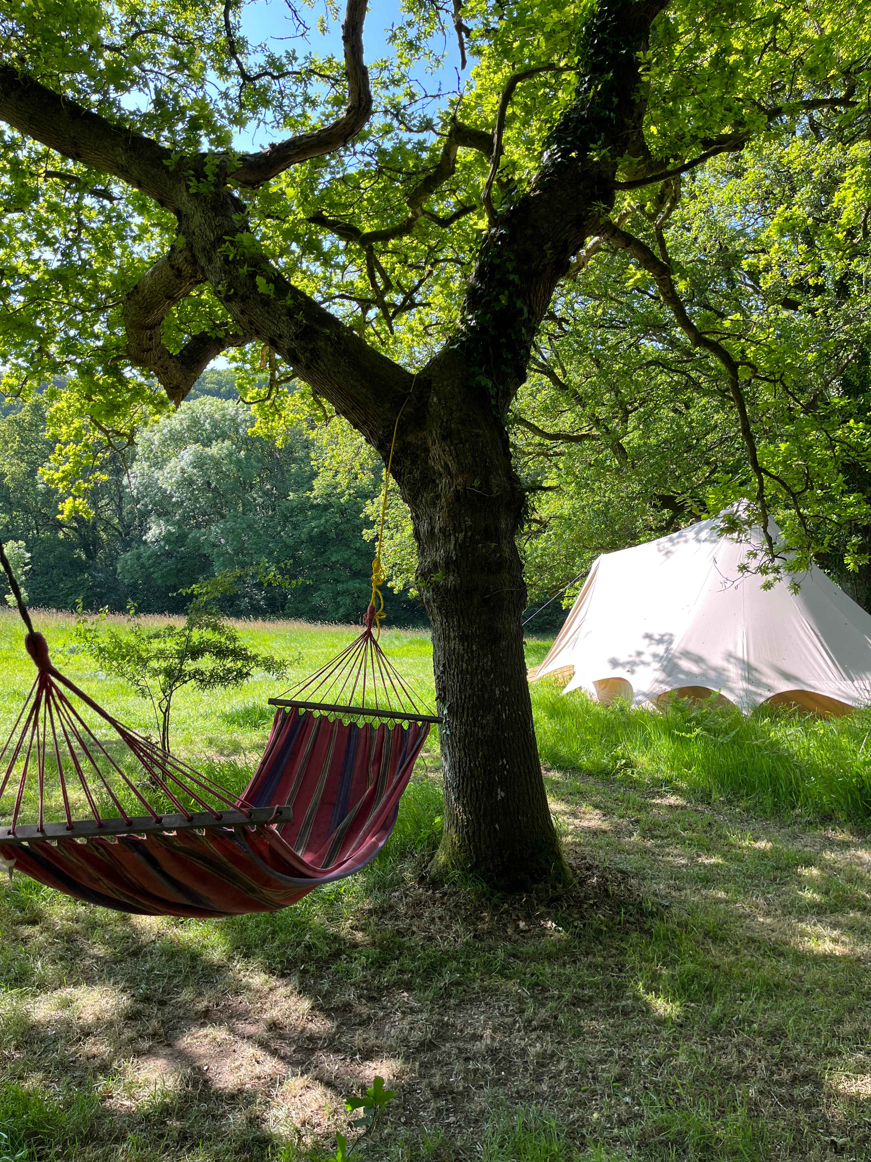 Lickham Bottom Camp
