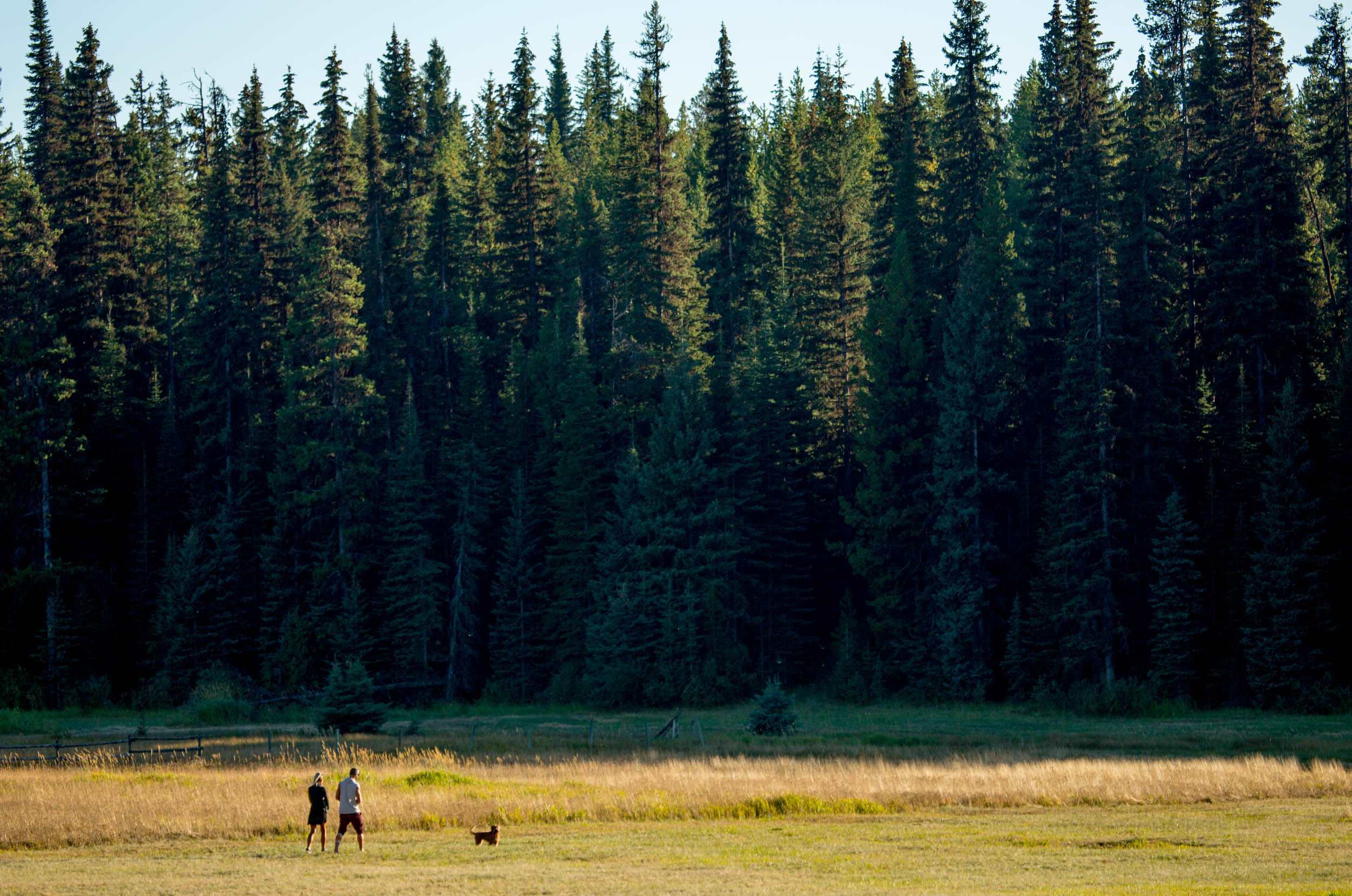 McCulloch Meadows Ranch