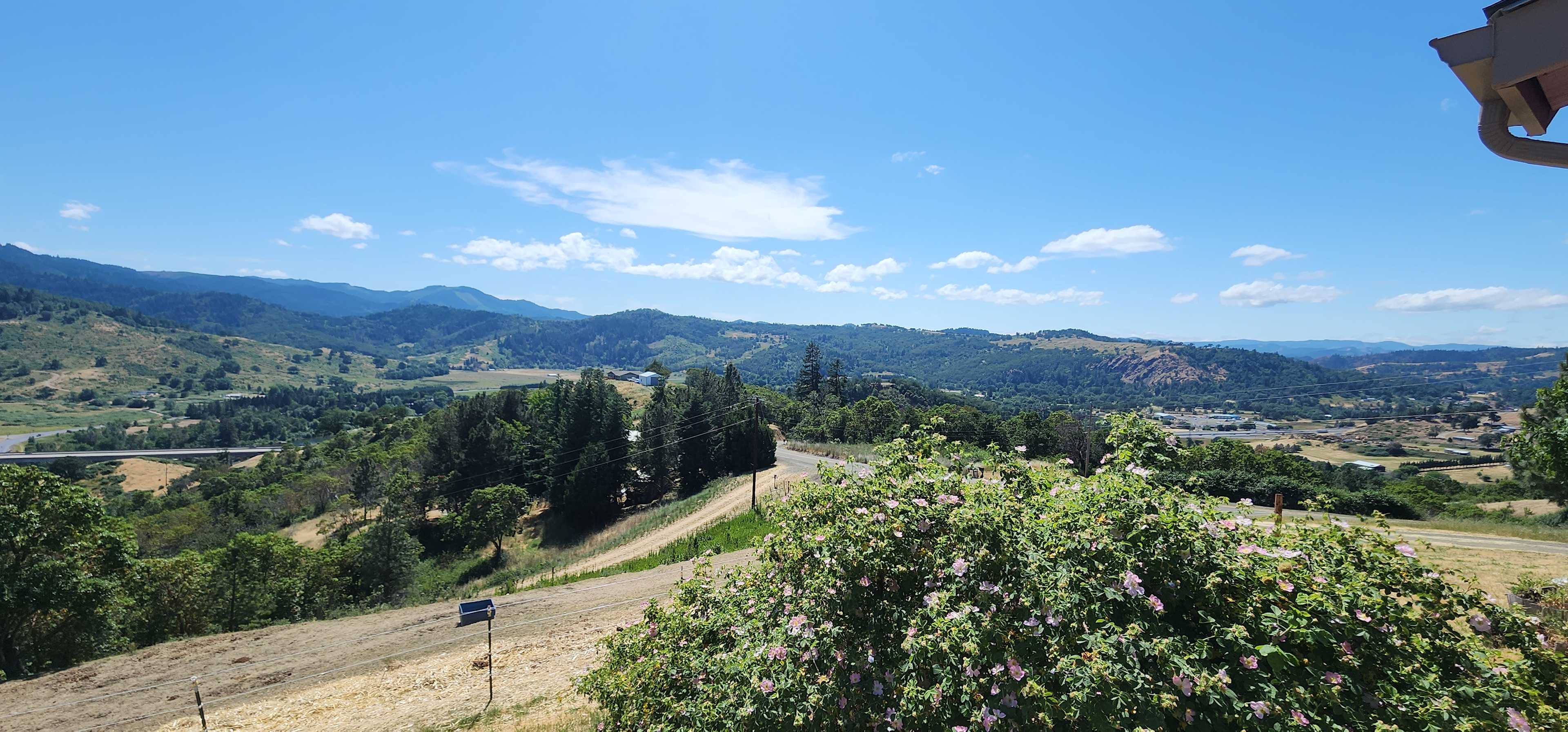 View from the front deck