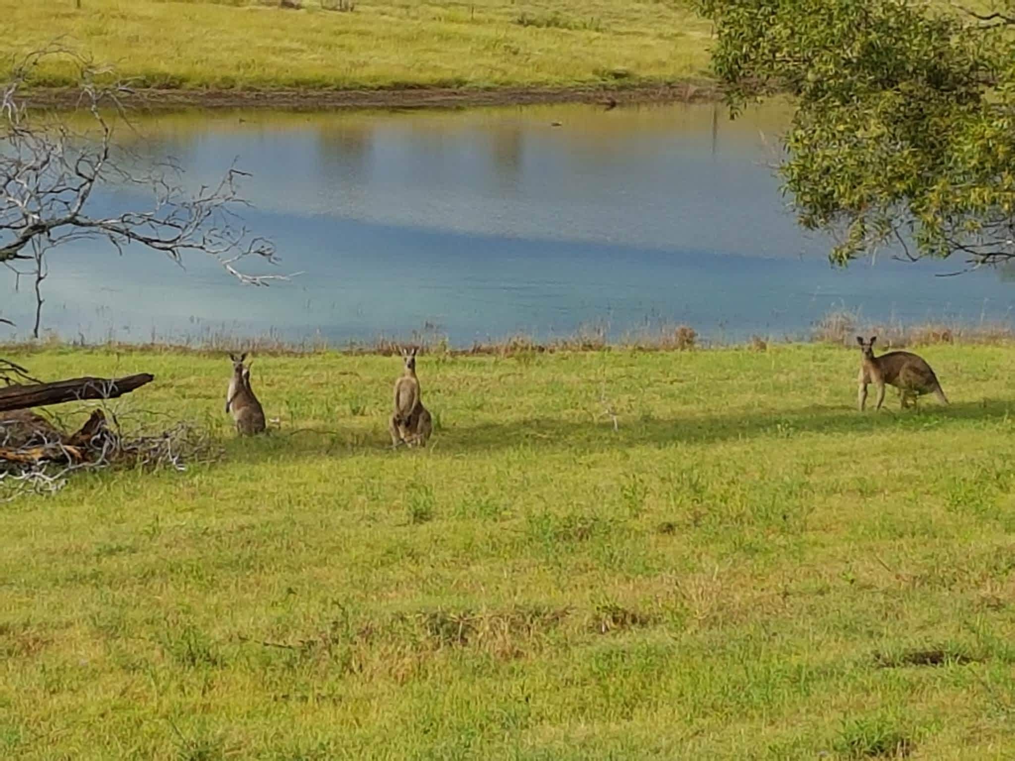 ‘Em ‘N’ Jay Farmstay