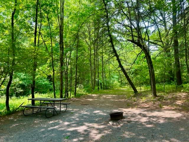 Plenty of space, and surrounded by wilderness.