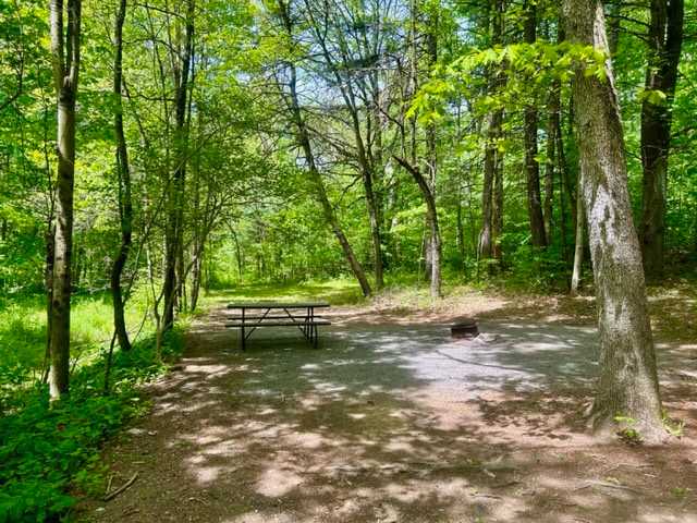 A large shaded site, hidden in the woods.  With a fire ring, picnic table and gravel road.  Park right next to the site, no walk-in.