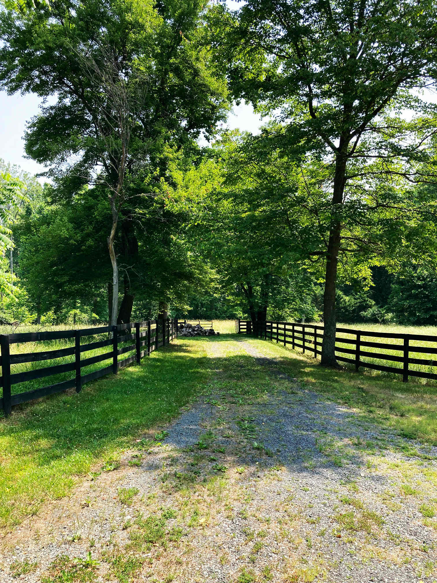 Camp Canterbury