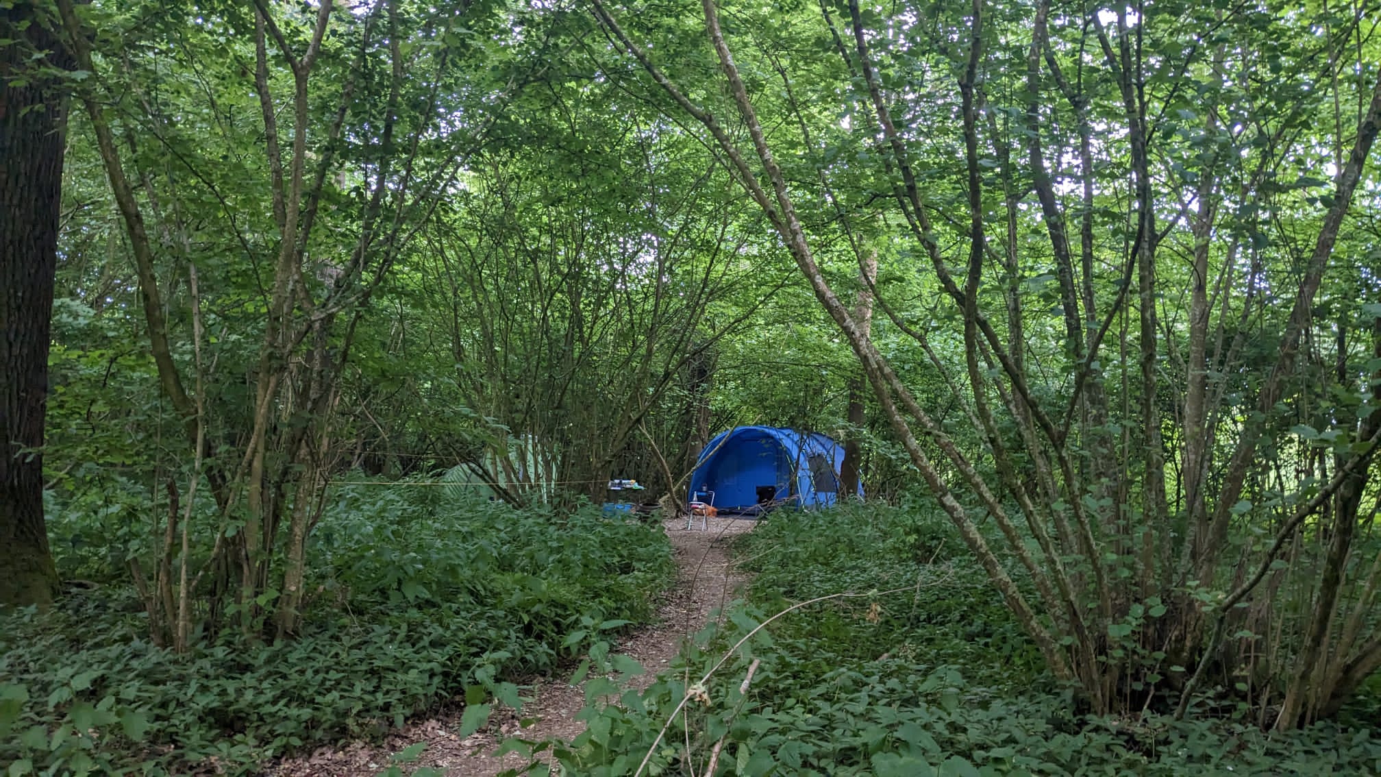 Our pitch