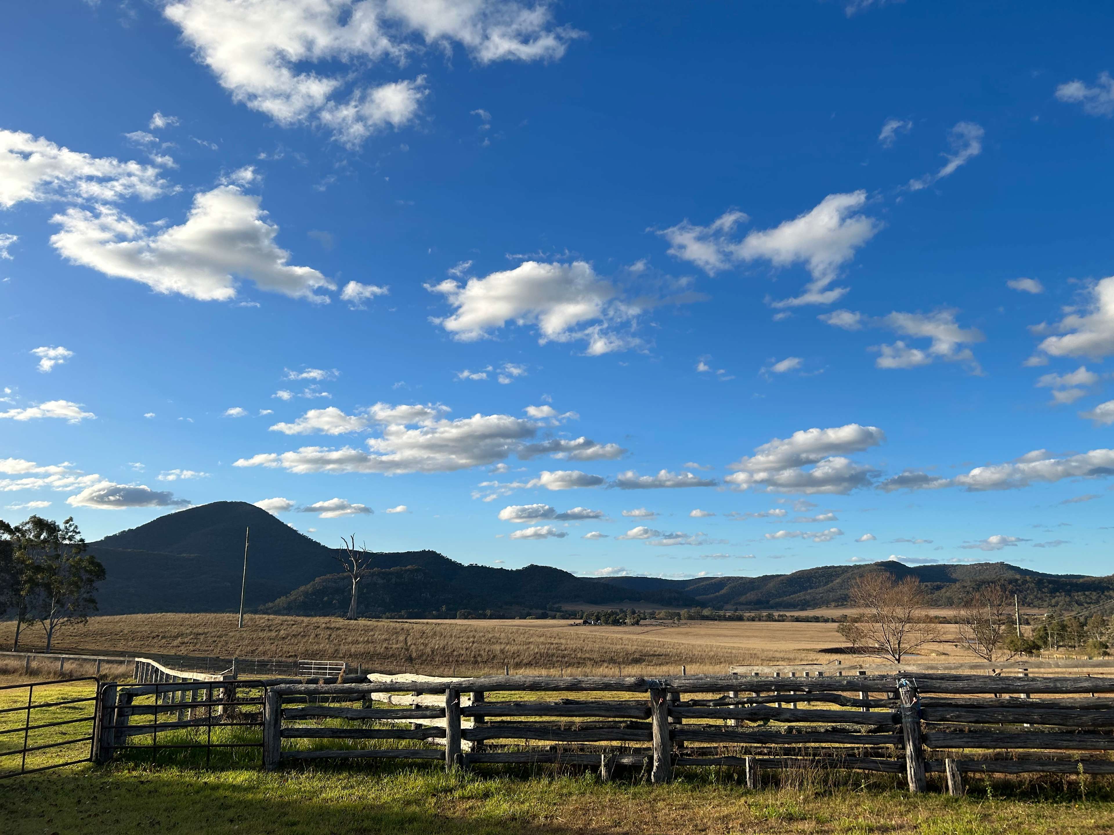 View of Mt Dangar from the Old Dairy