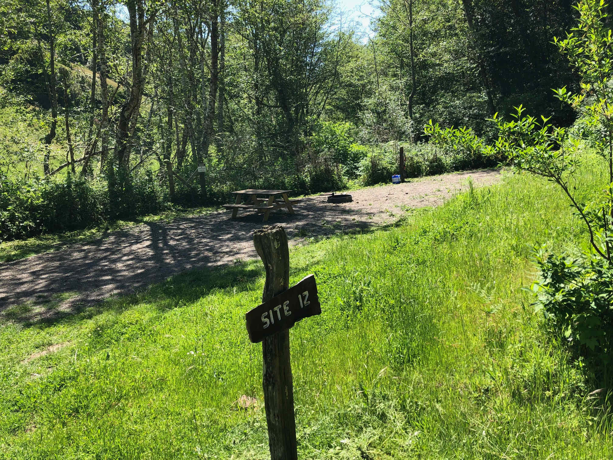 Site #12