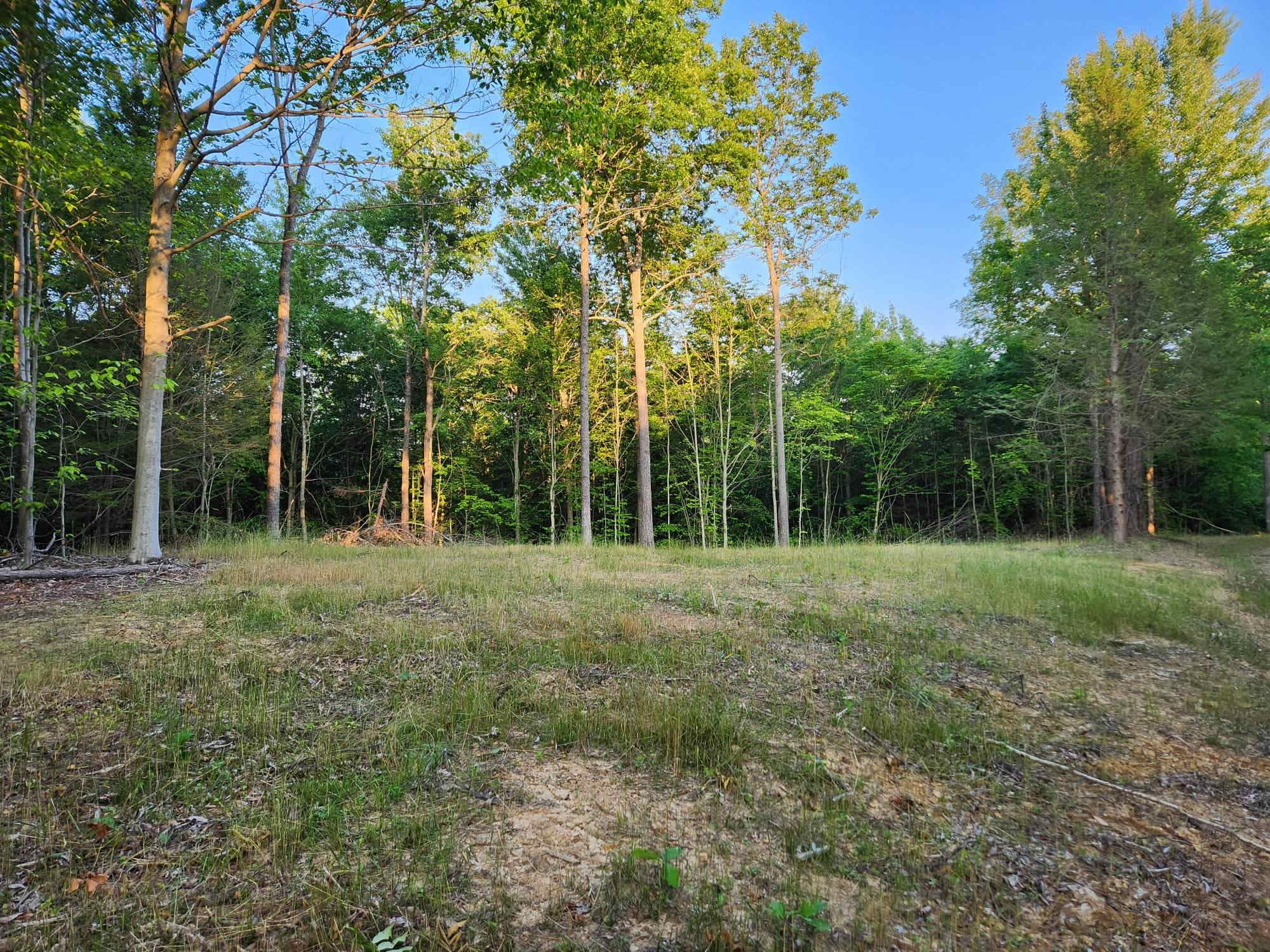 Possum Ridge Ranch