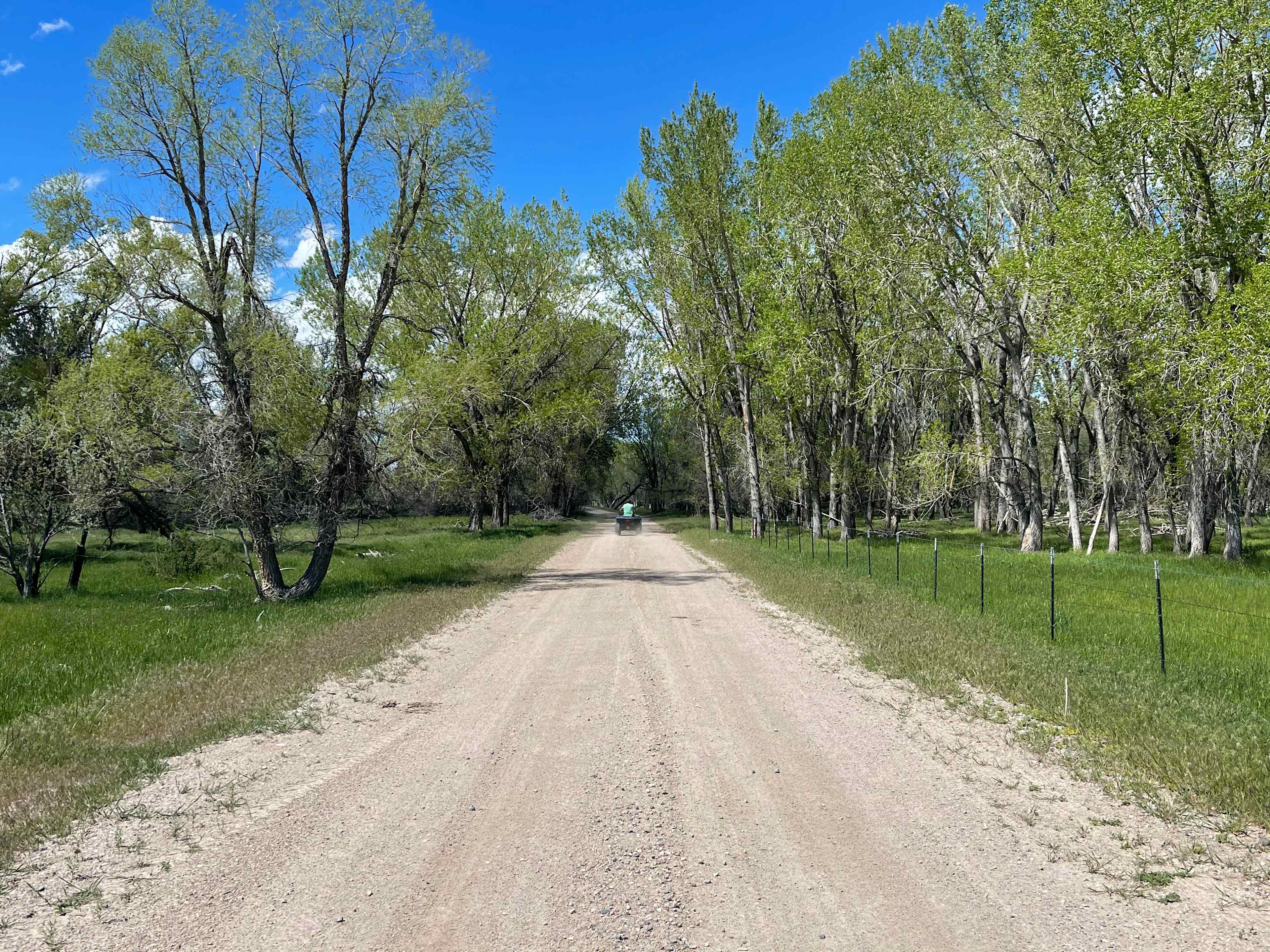 The road to the park