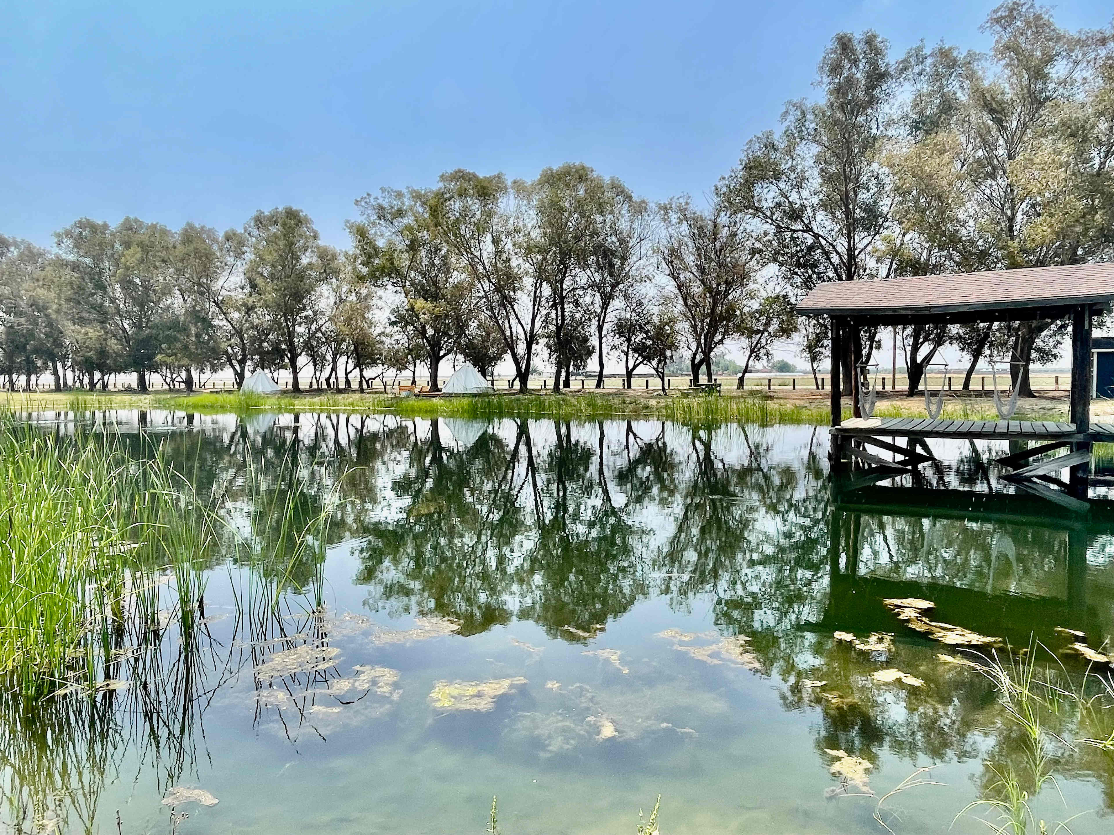 20 Acres Outside of Bakersfield