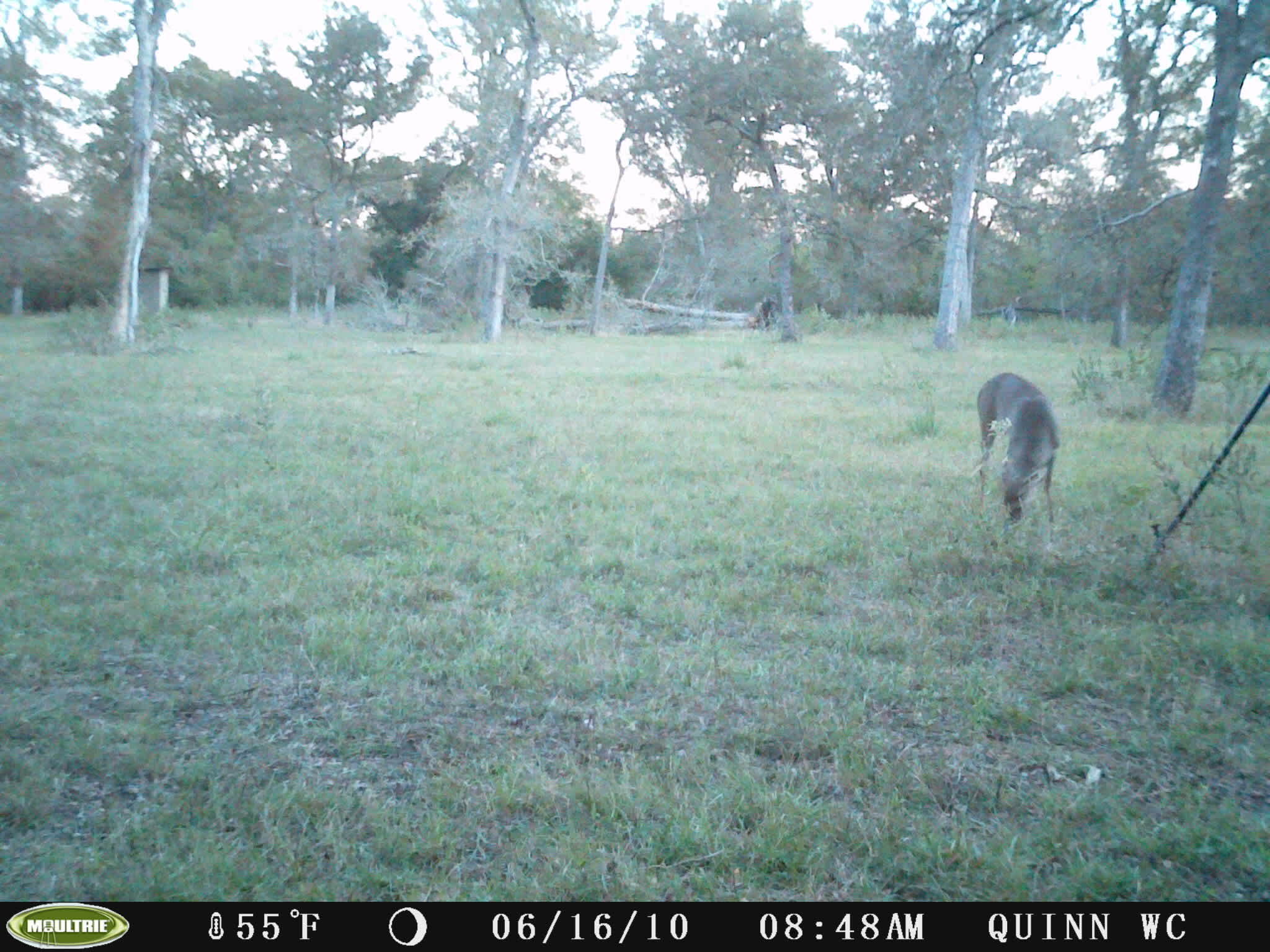 The Navasota River Ranch