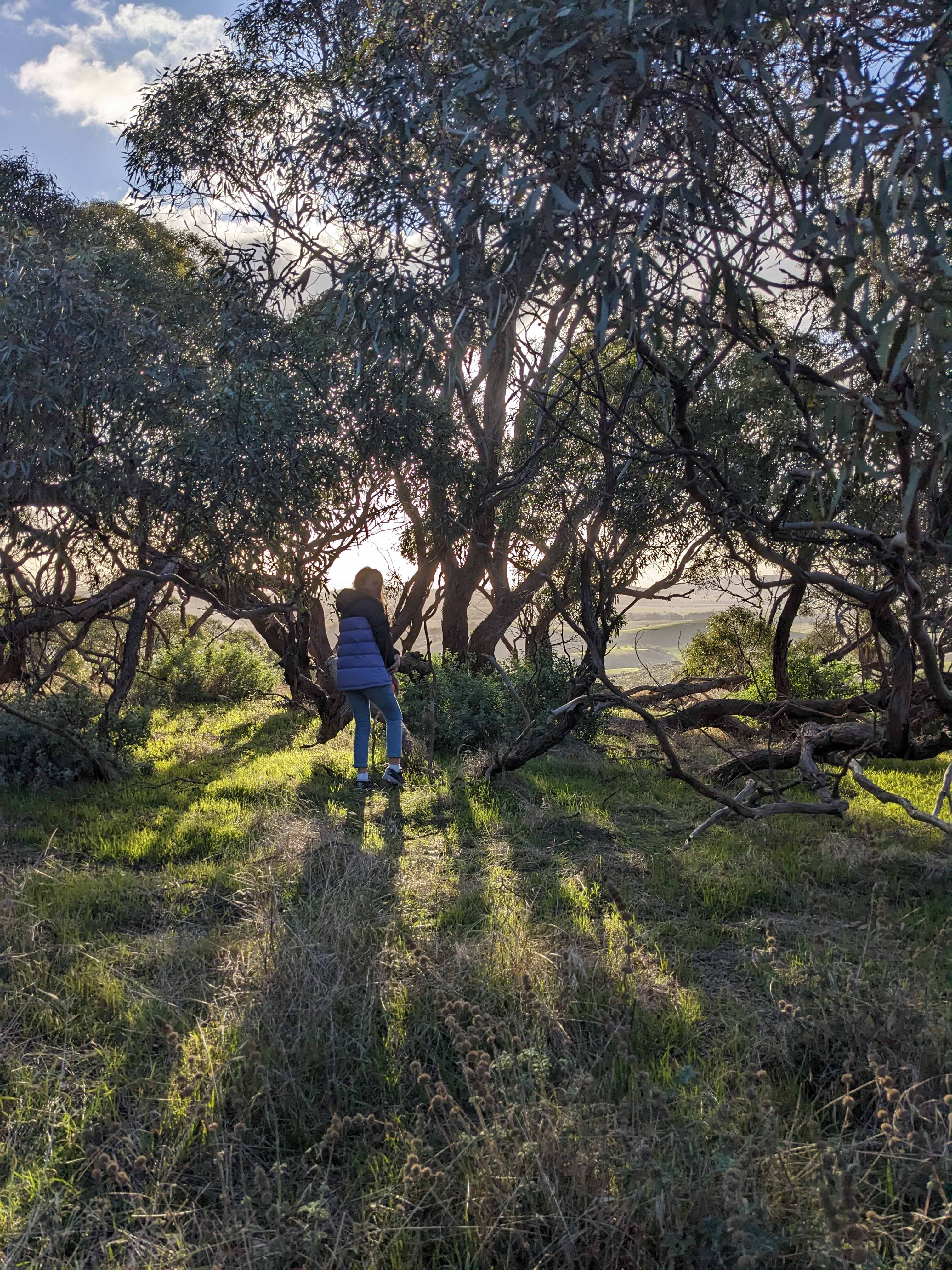 Heggies Hill Bush Camp