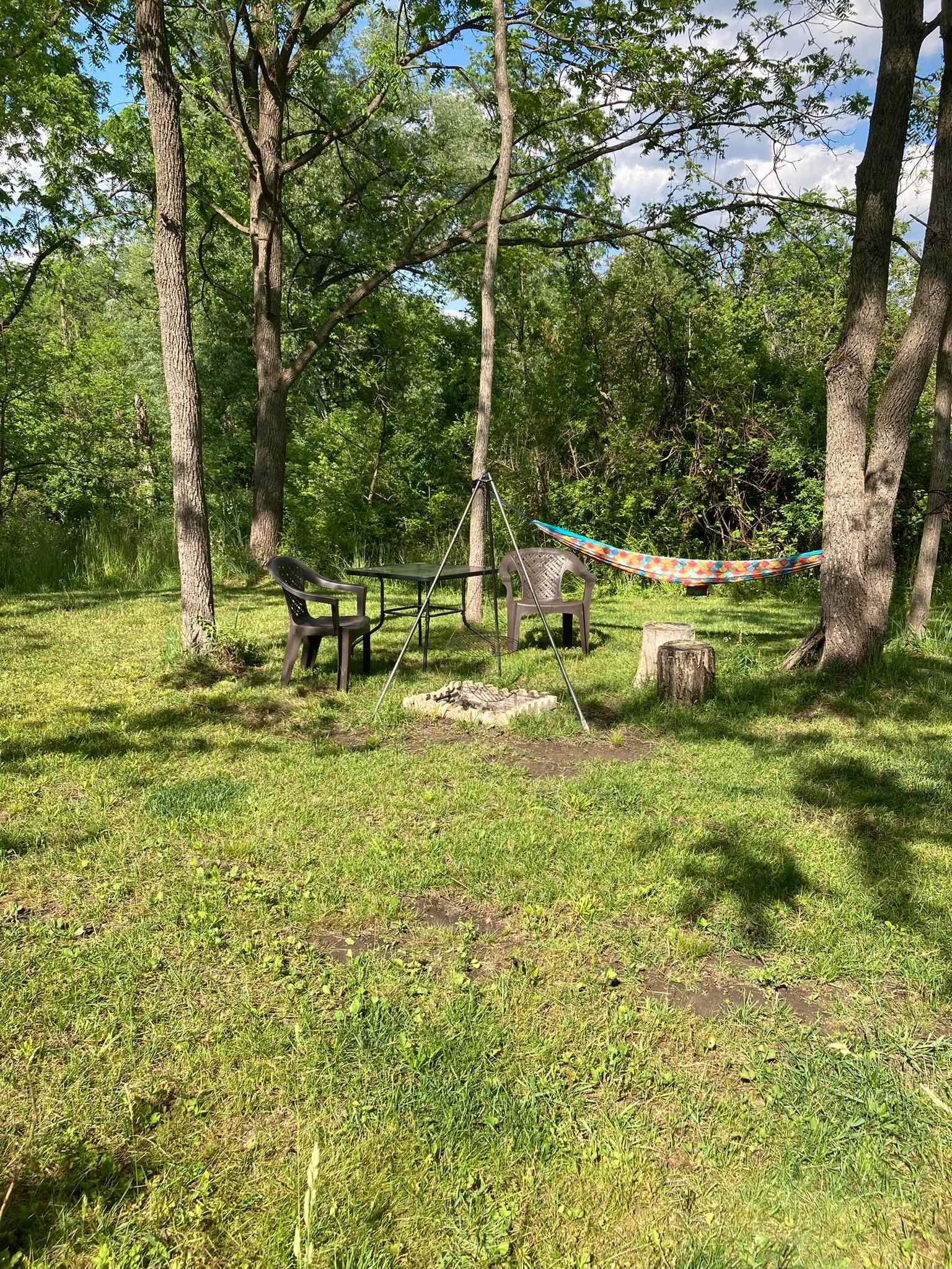 Pooh’s Corner