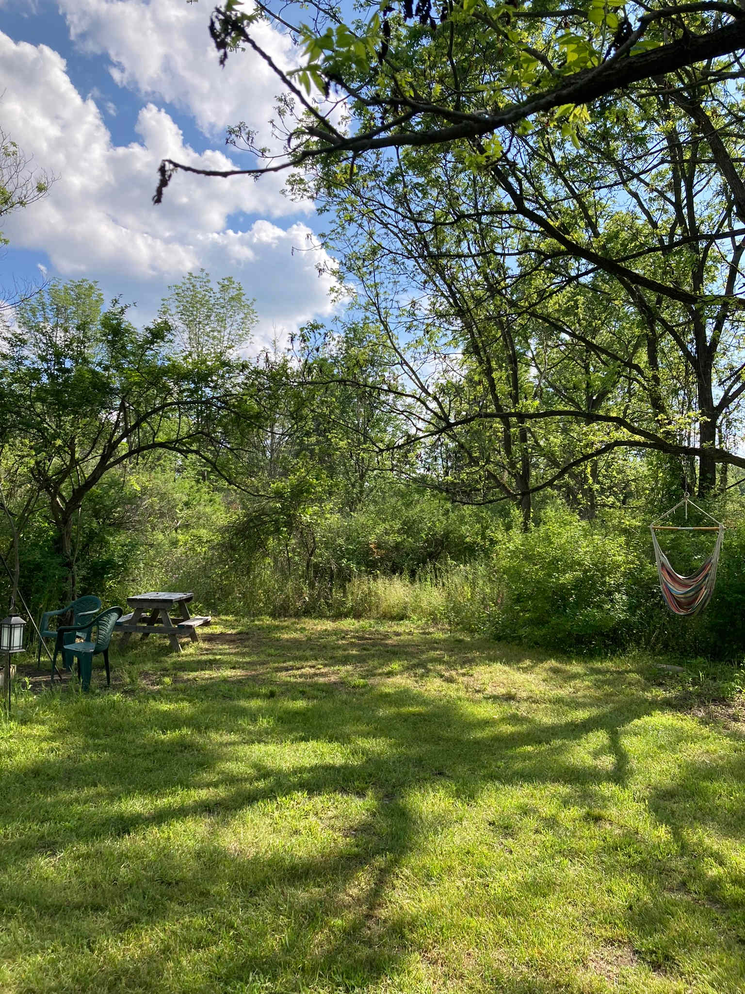 Pooh’s Corner