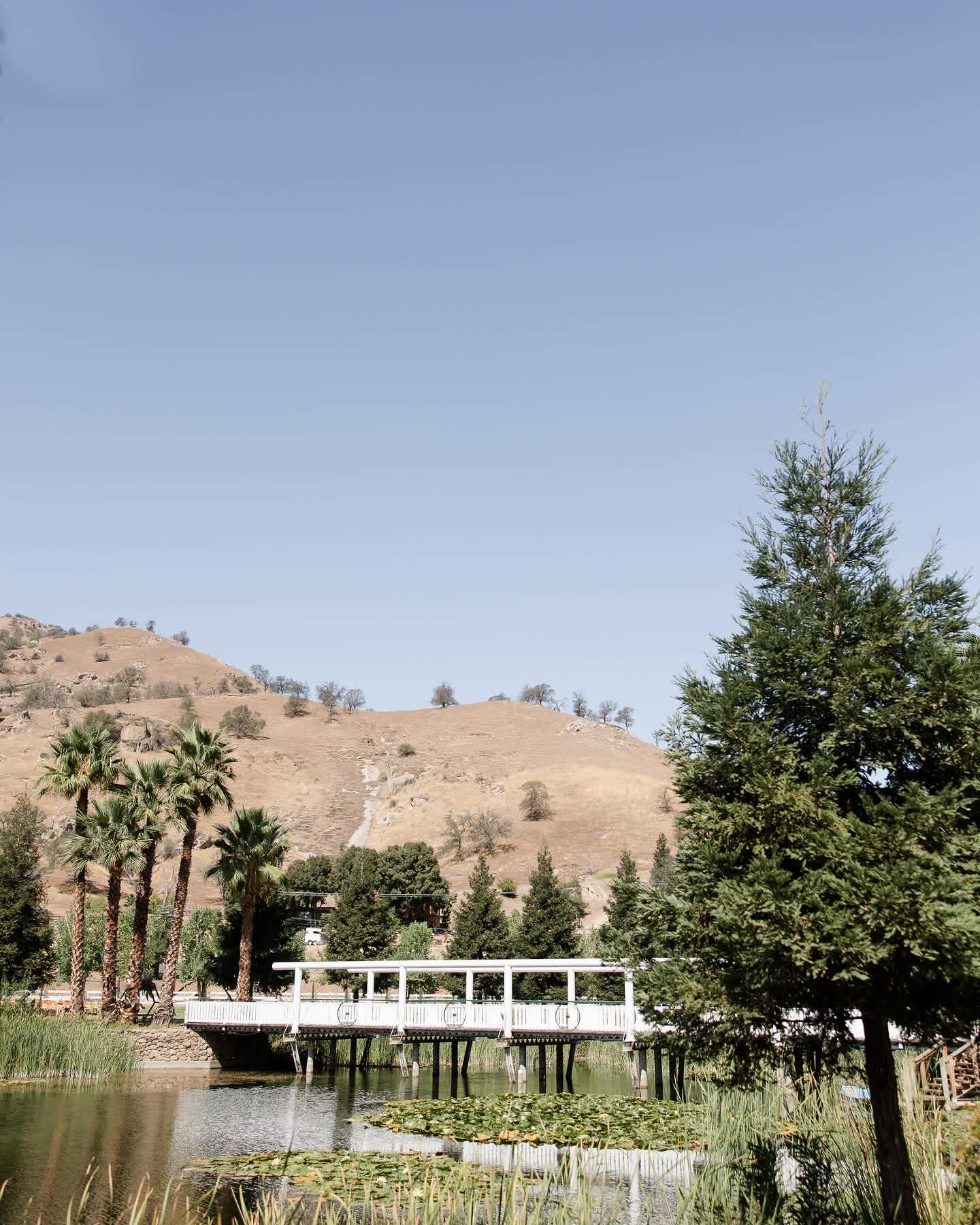 Cabin By The River - Hipcamp in Springville, California