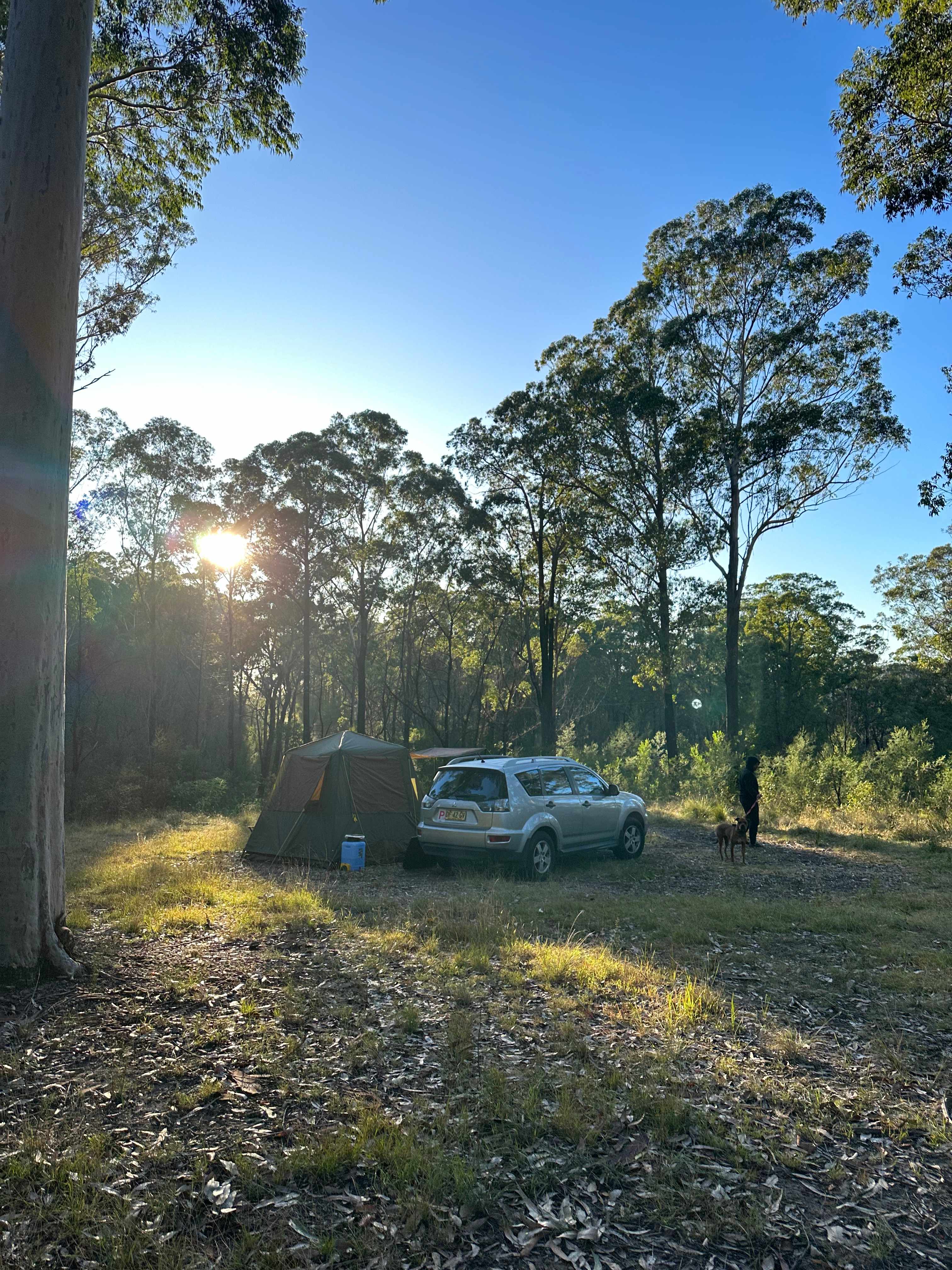Challoner Lodge - Spotted Gum Hill