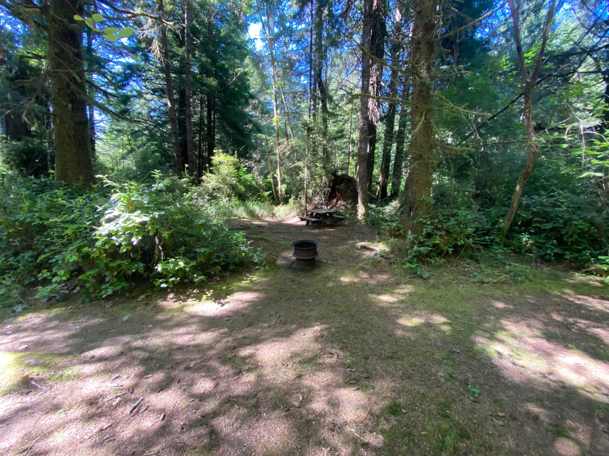 Mystic Forest Campground