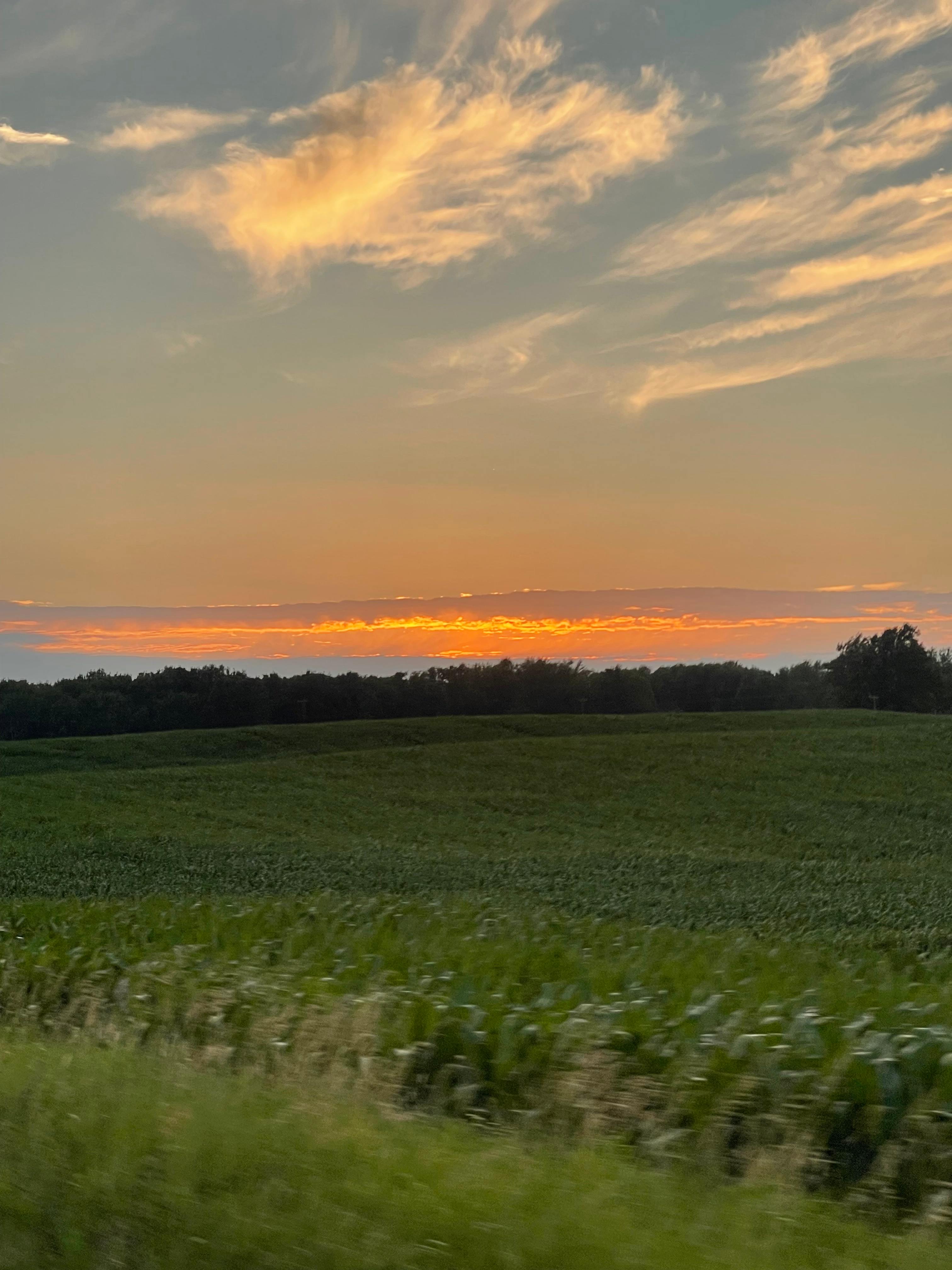 Sunrise Fields