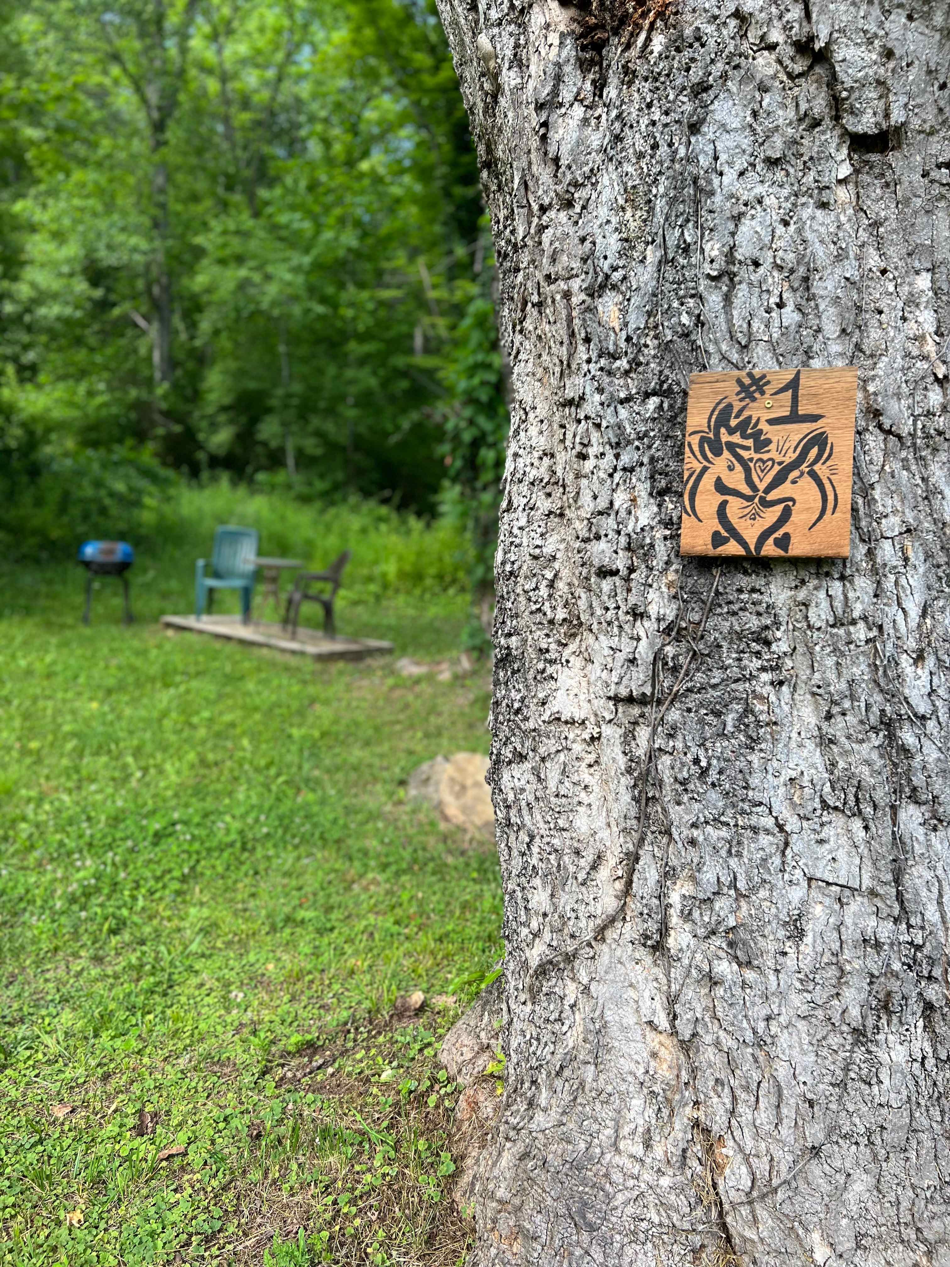 Appalachian Pond Campground