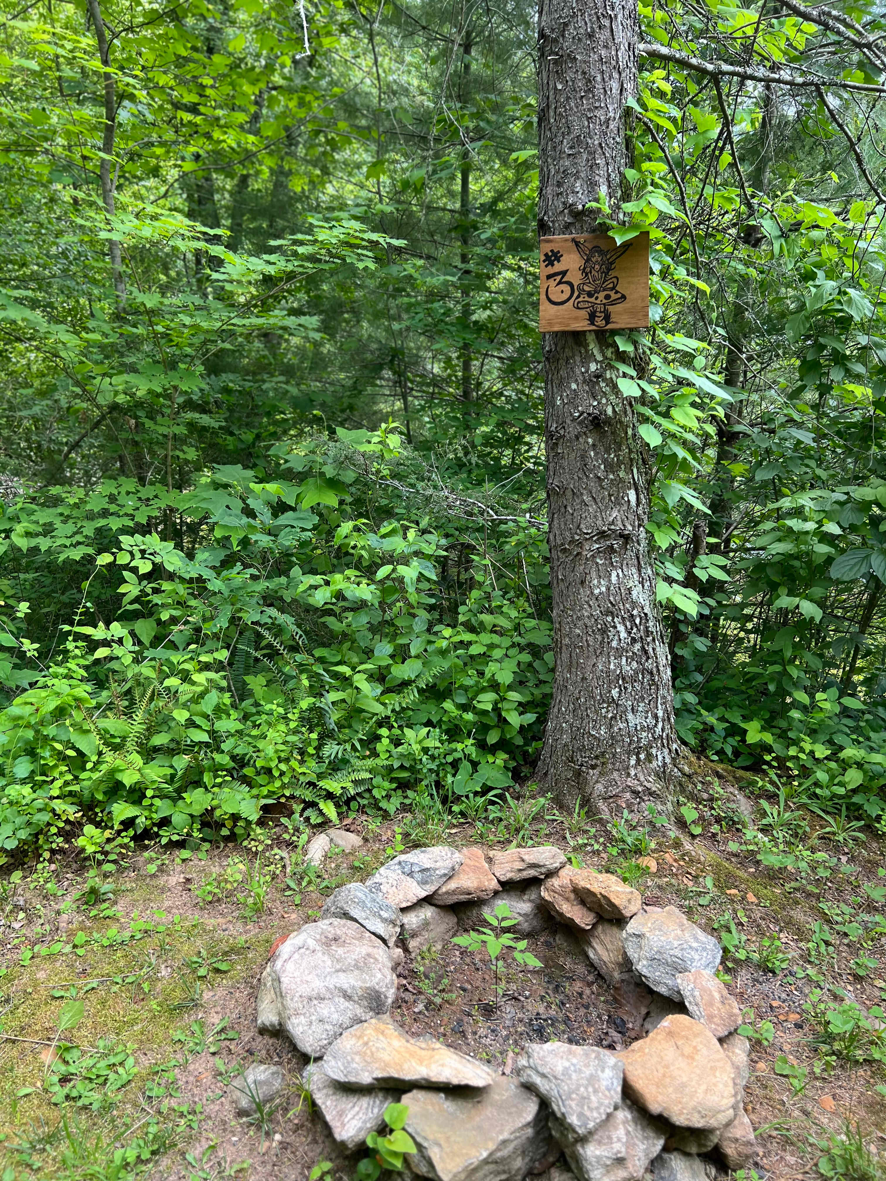 Appalachian Pond Campground