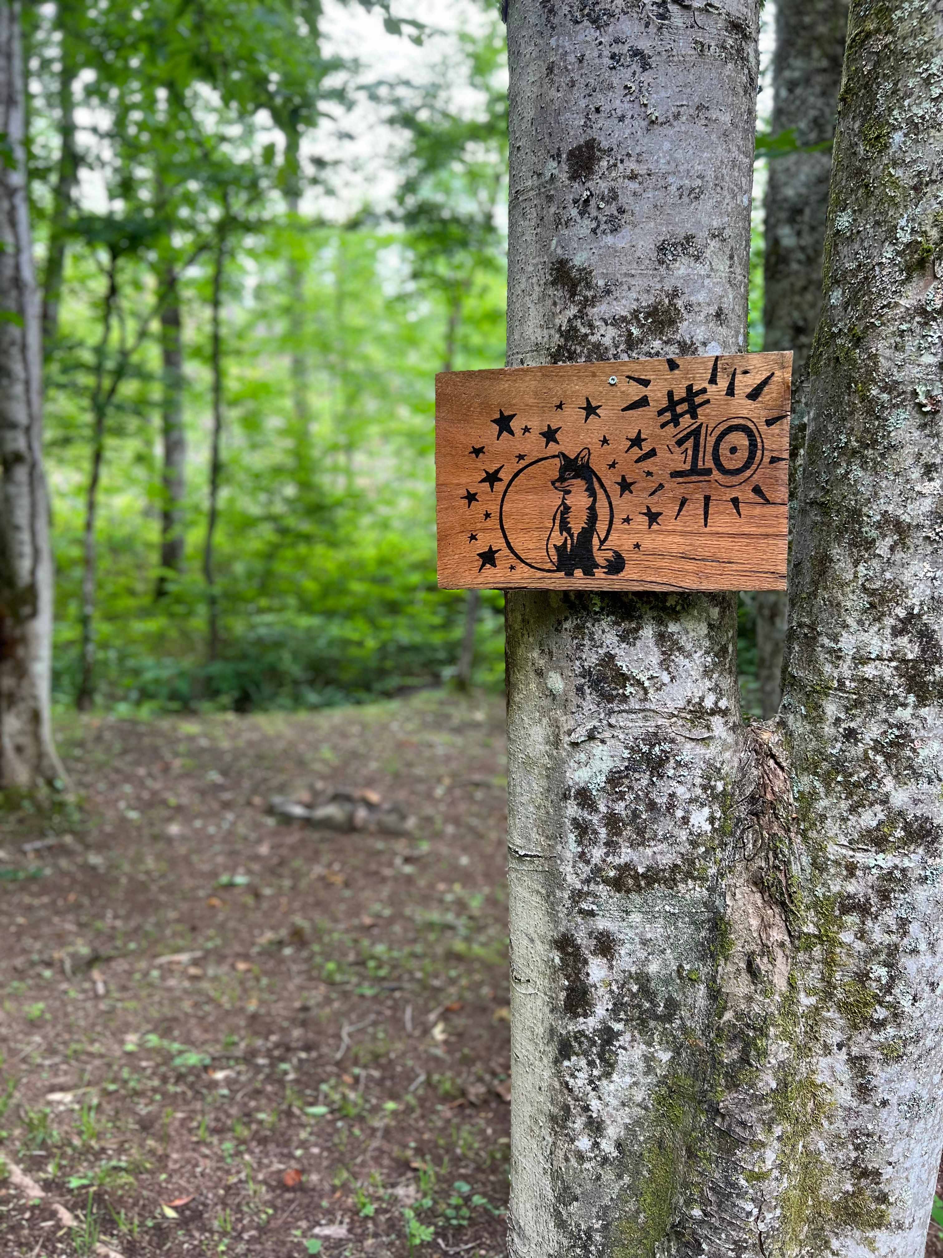 Appalachian Pond Campground
