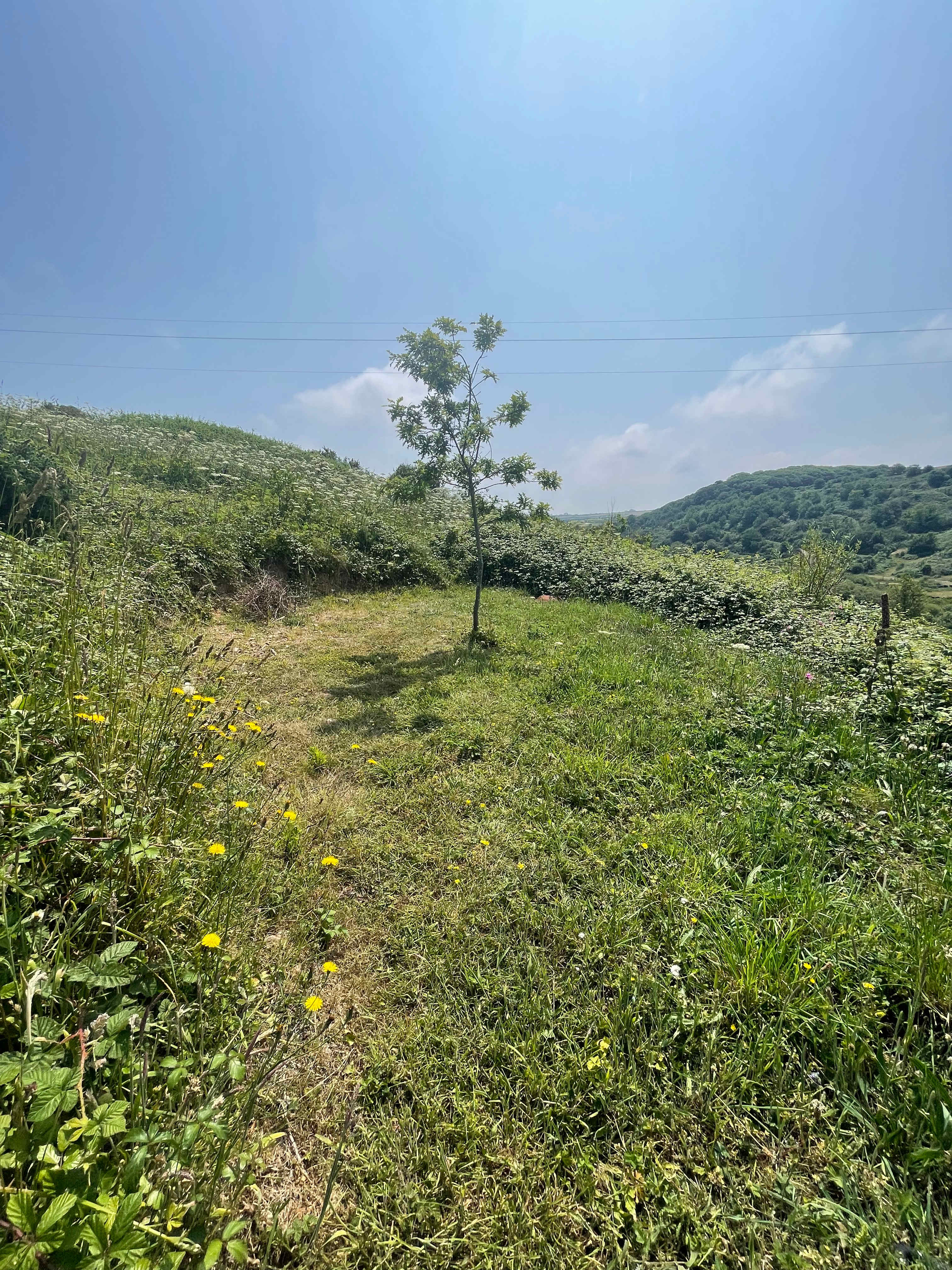 Ro Dama Community Farm