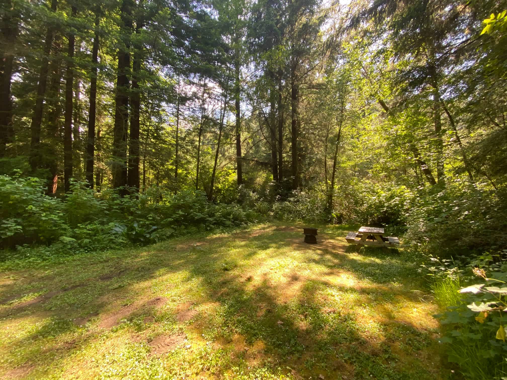 Mystic Forest Campground