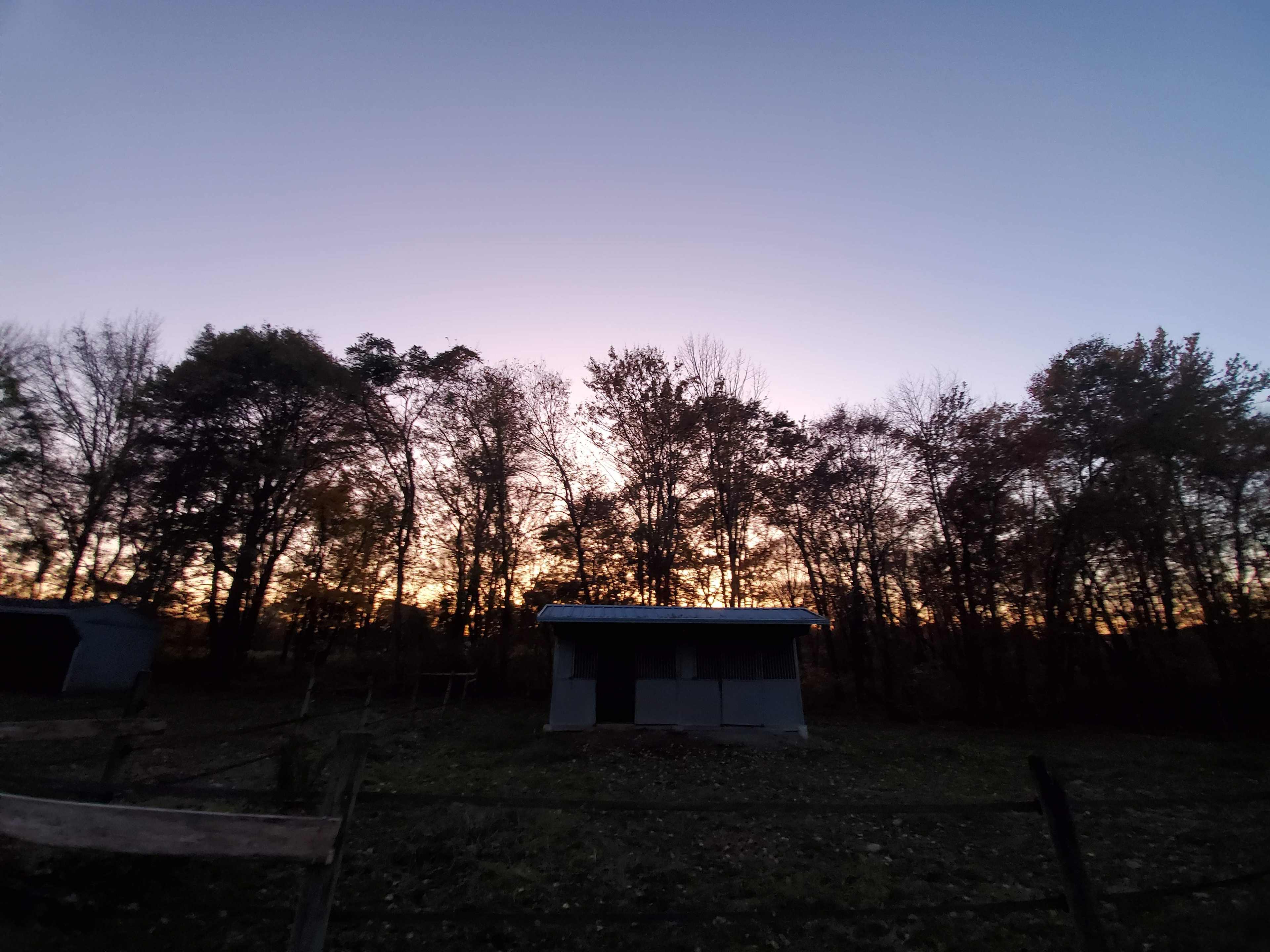 Bk Farm and Bond Longhorns