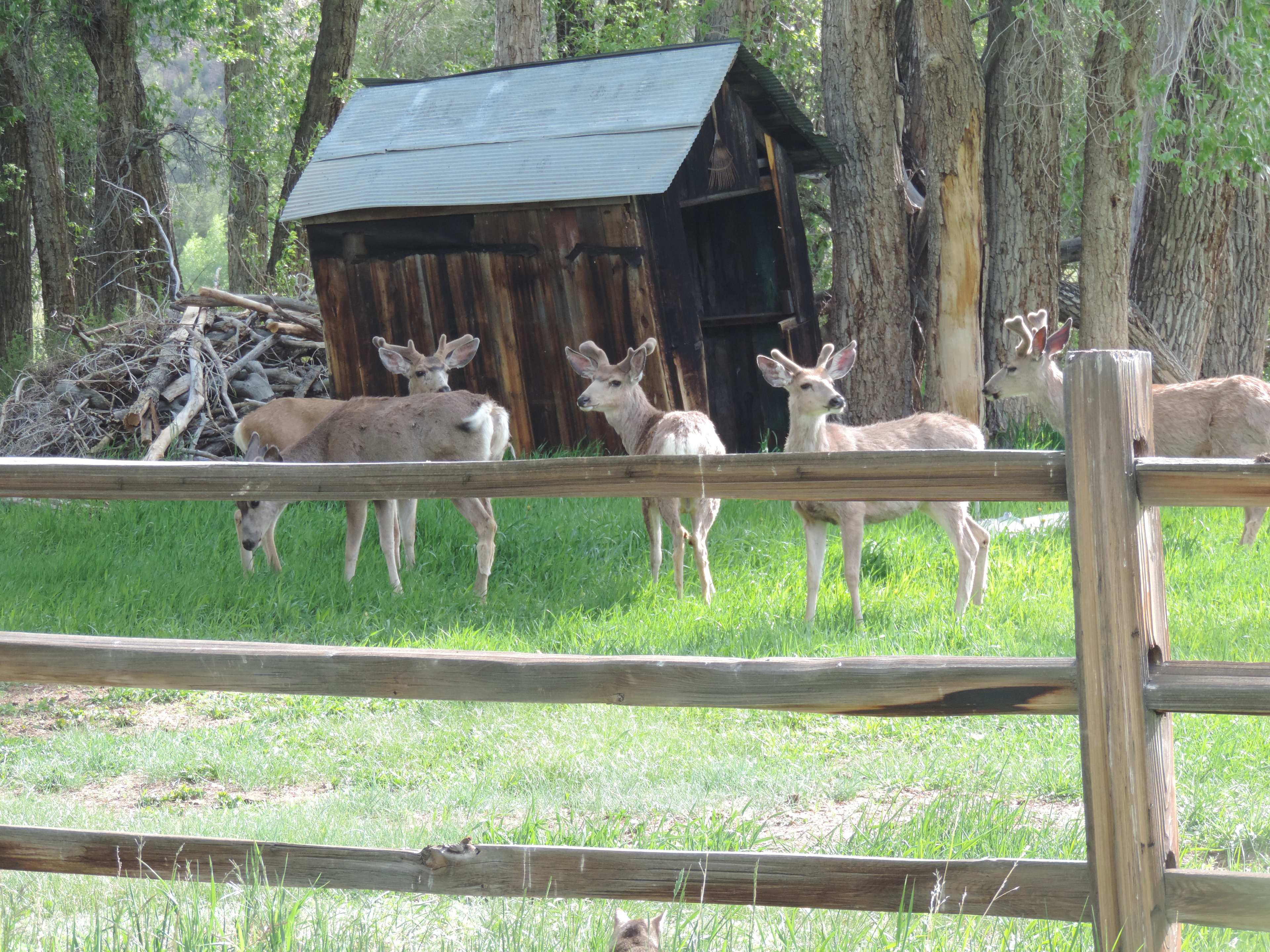 Frenchman's Creek Ranch