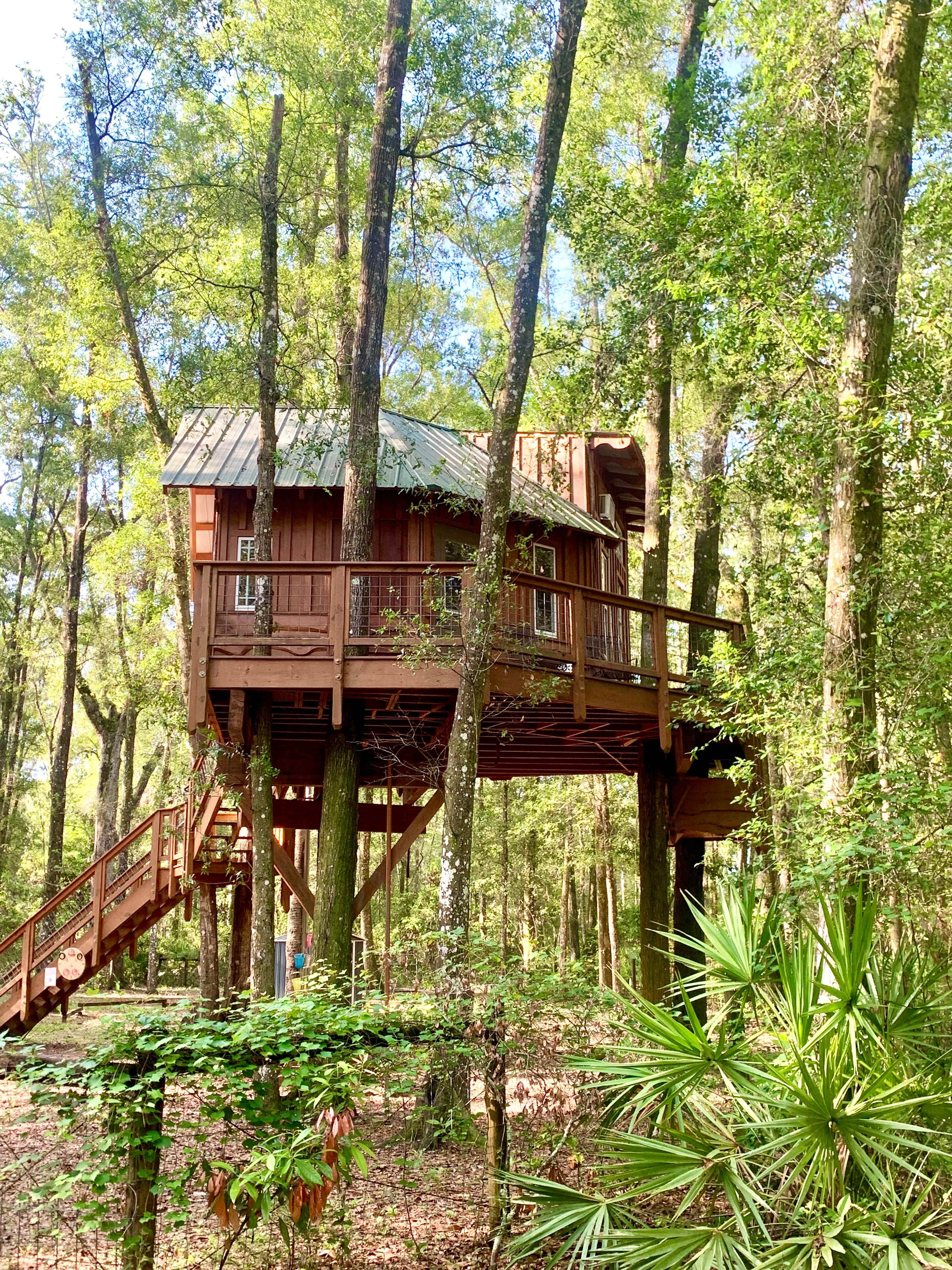 Looking at the side and back of the treehouse.